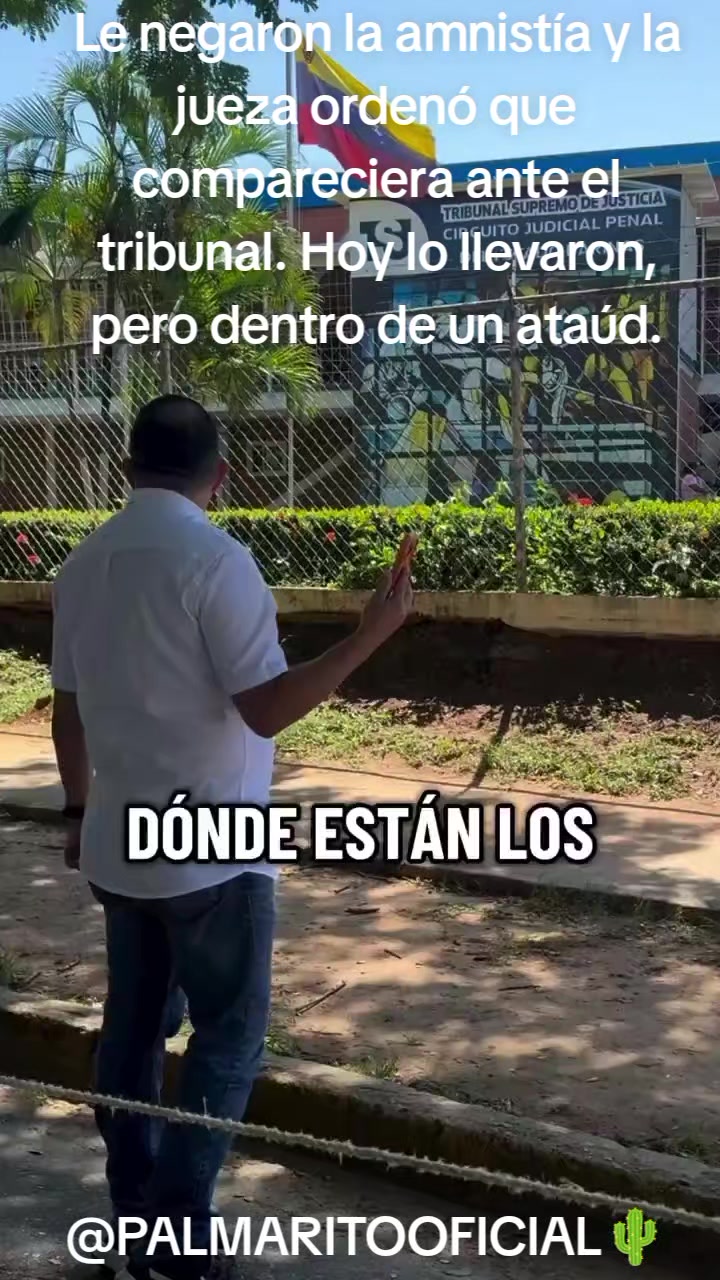 @PALMARITOOFICIAL 🌵