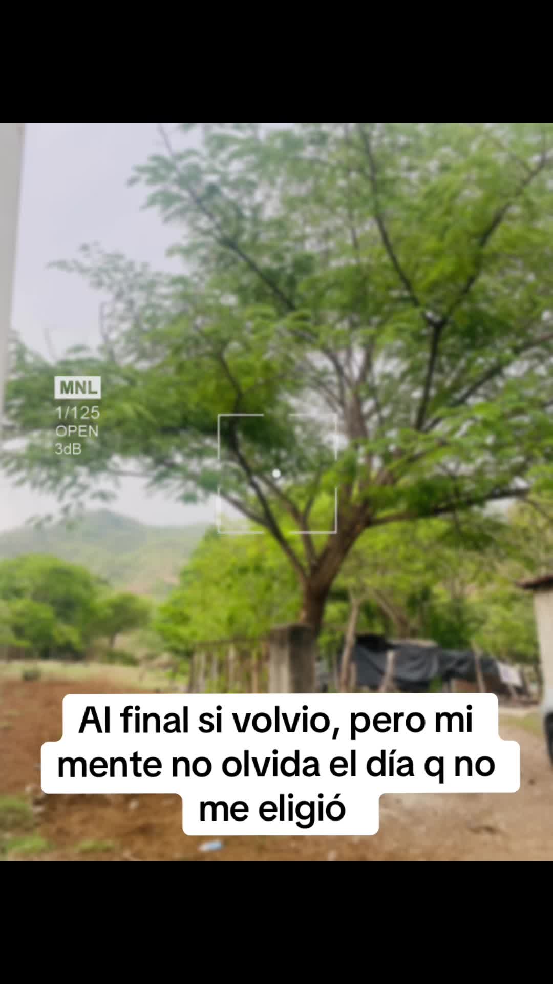 @Beita Flores 🌺🦁🍓