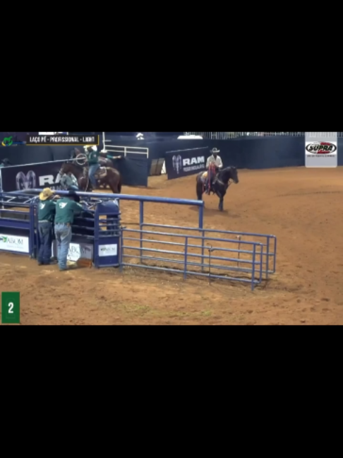 @Team Roping Brasil