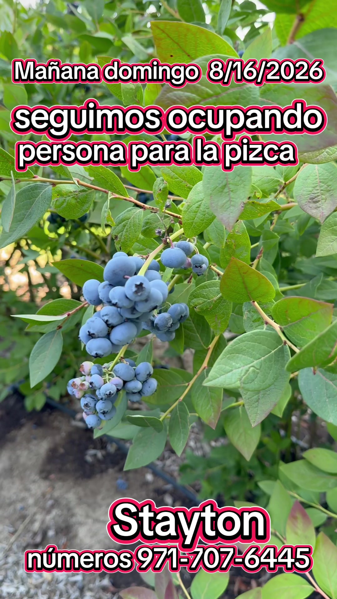 @Patricio780