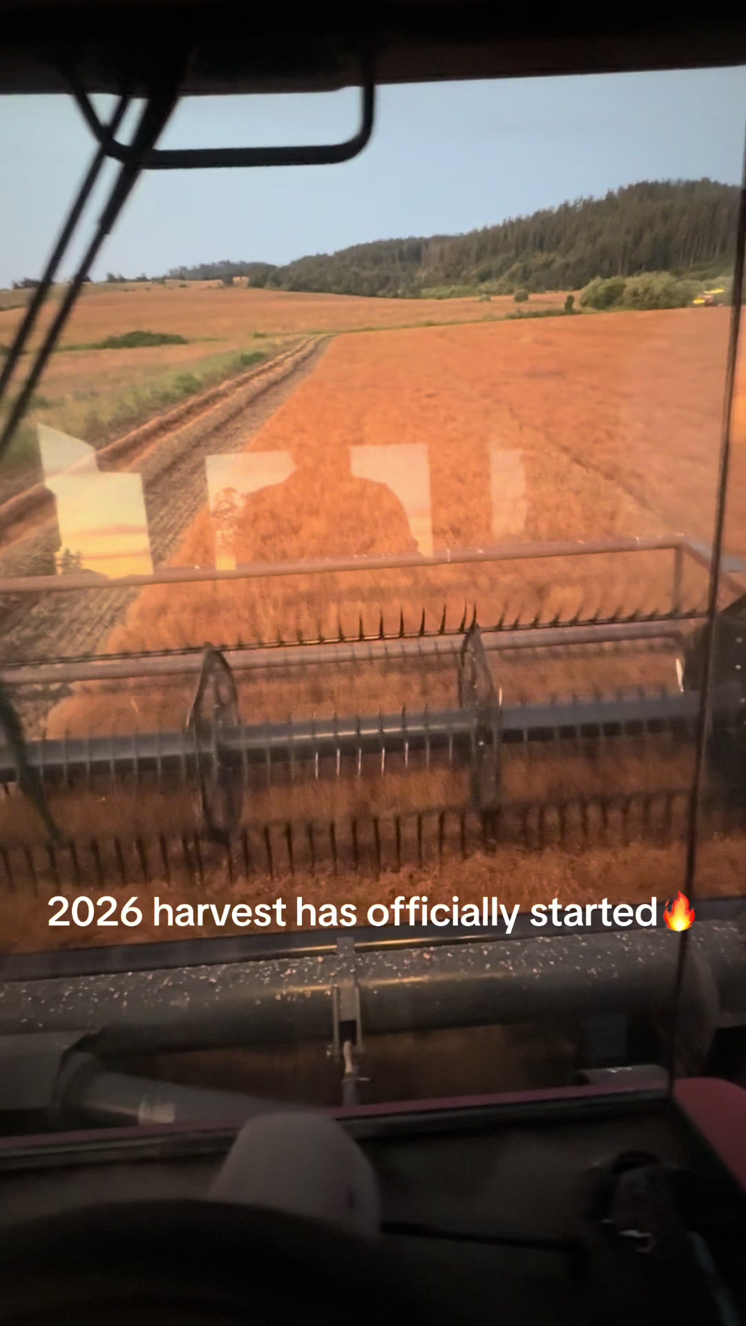 @GS3 Seed Farm