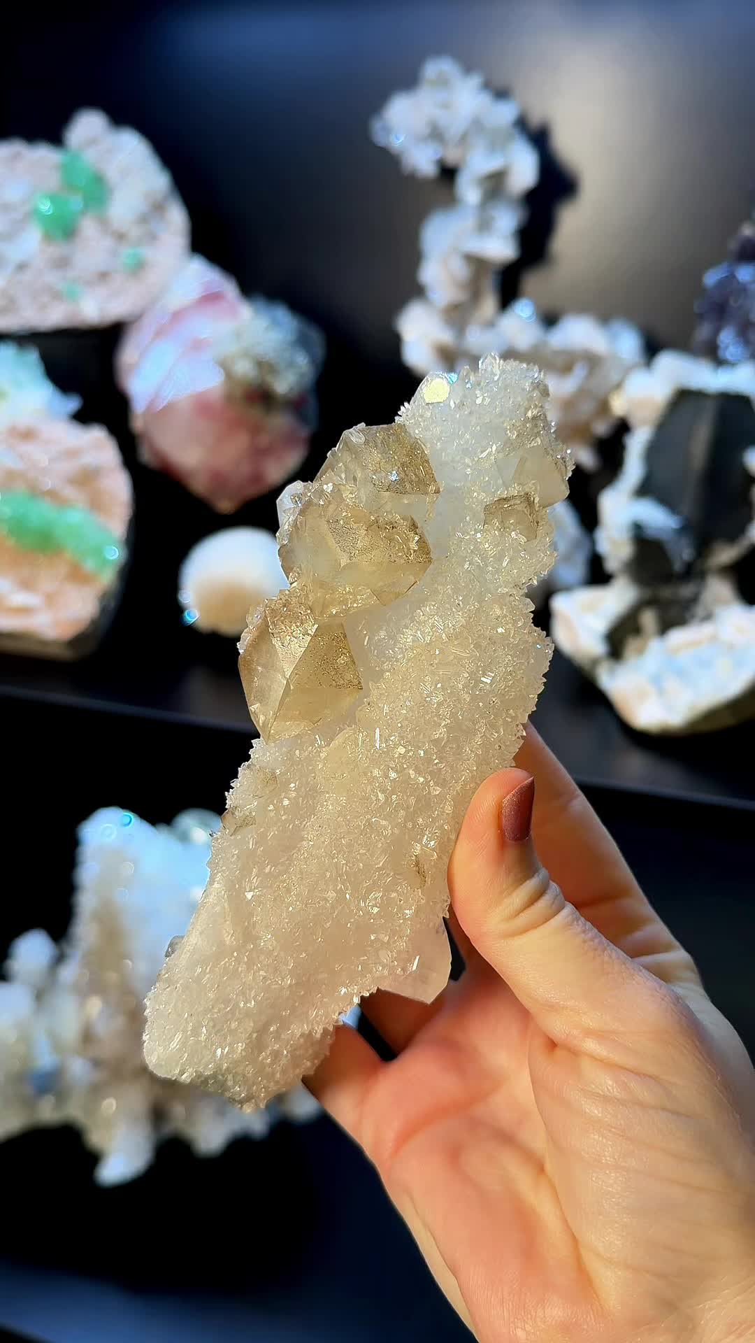 @Crystal Live Emporium✨Natalie