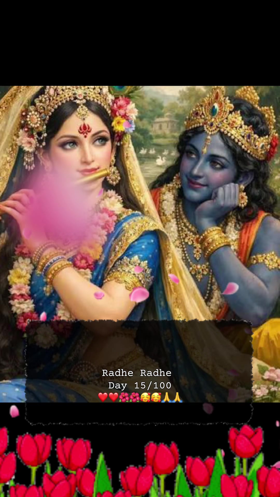 @RadheKrishna🦚🦚🙏🙏