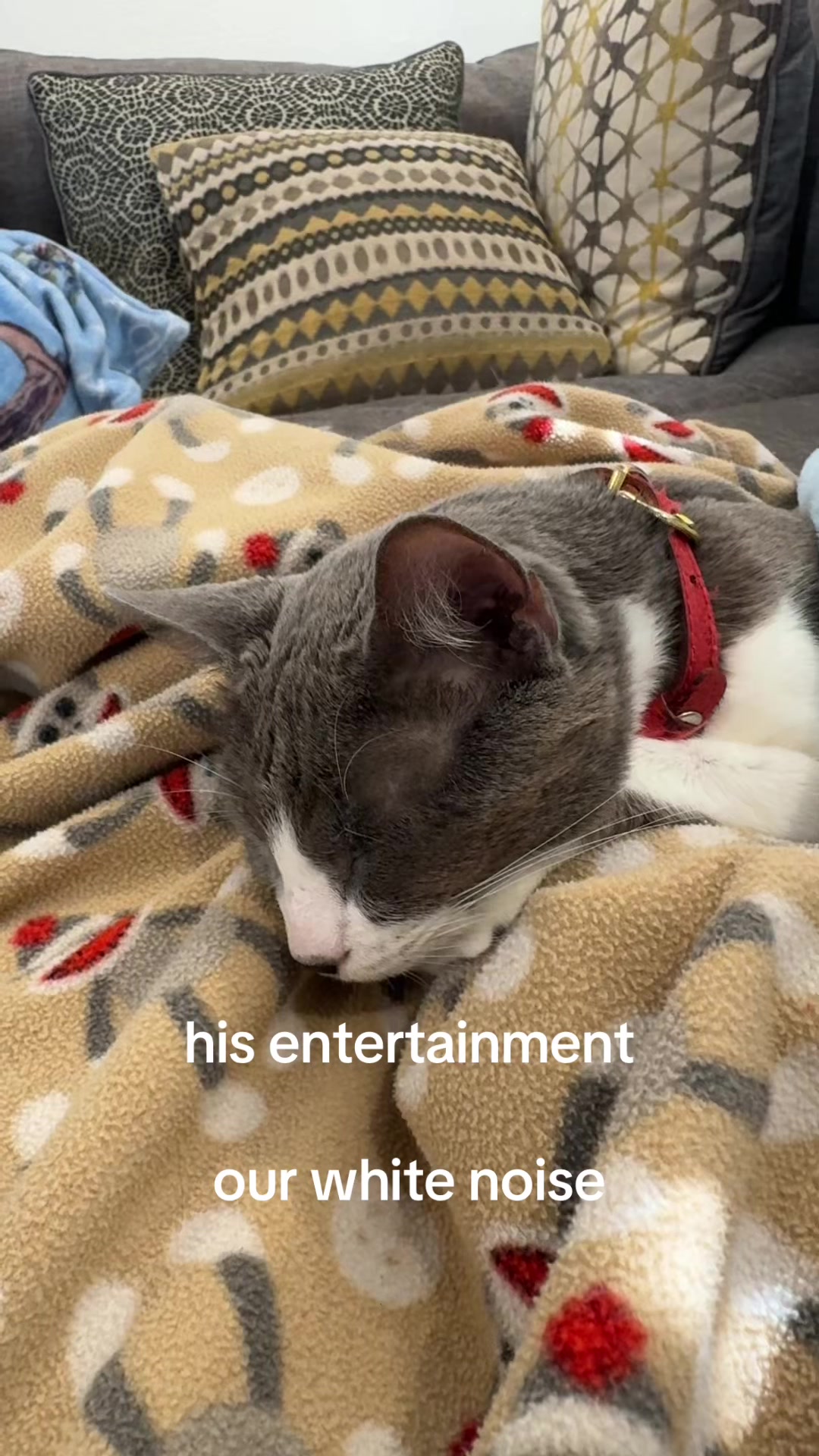 @neyna ˙ᵕ˙