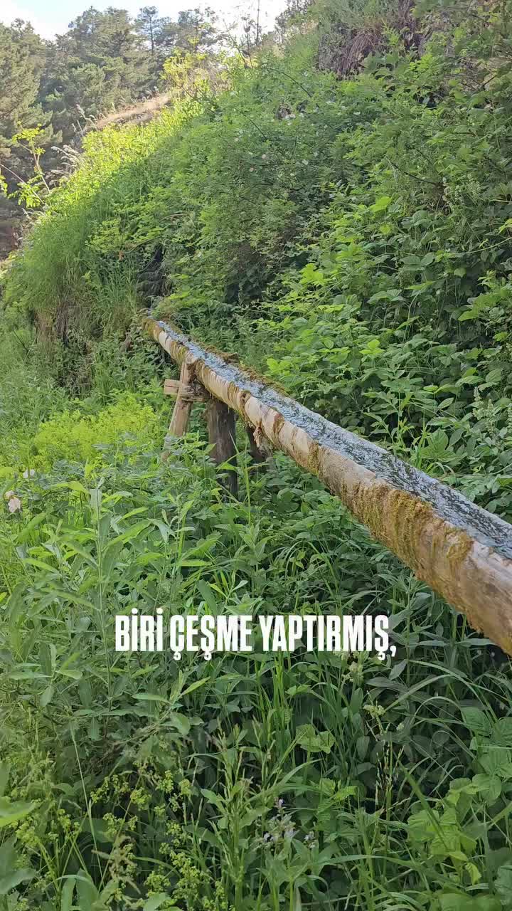 @🇹🇷 Muhittin44 🇹🇷