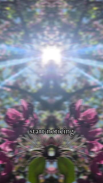 @Katie ✨️ Woven in Starlight ✨️