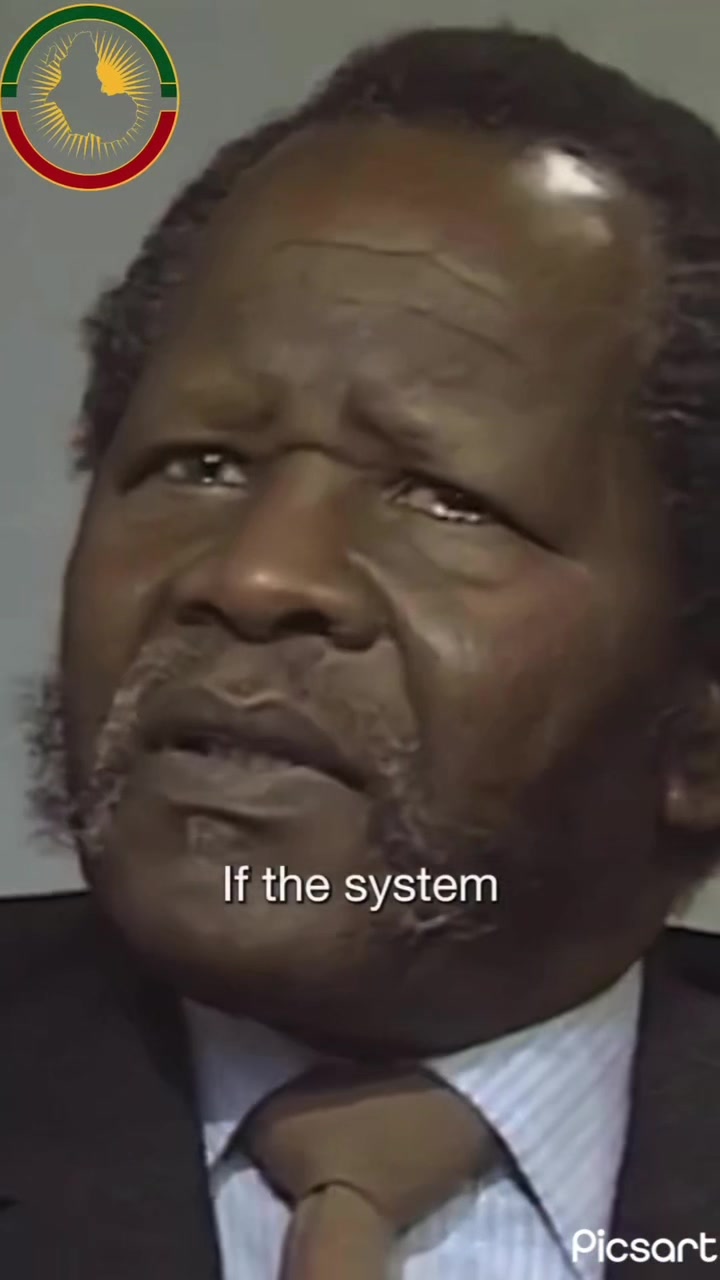 @panafricanistcongress