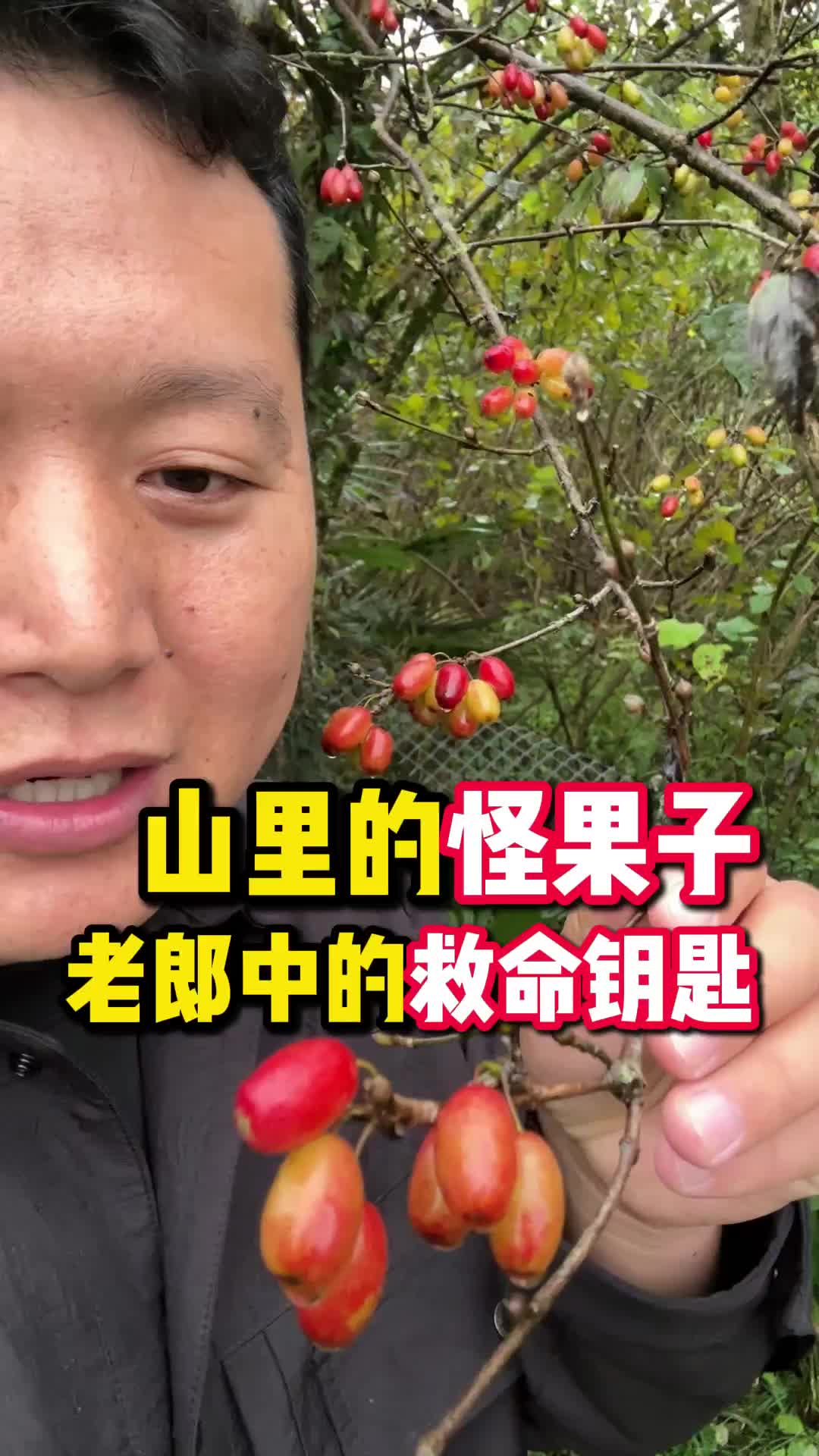 @大头说滋补