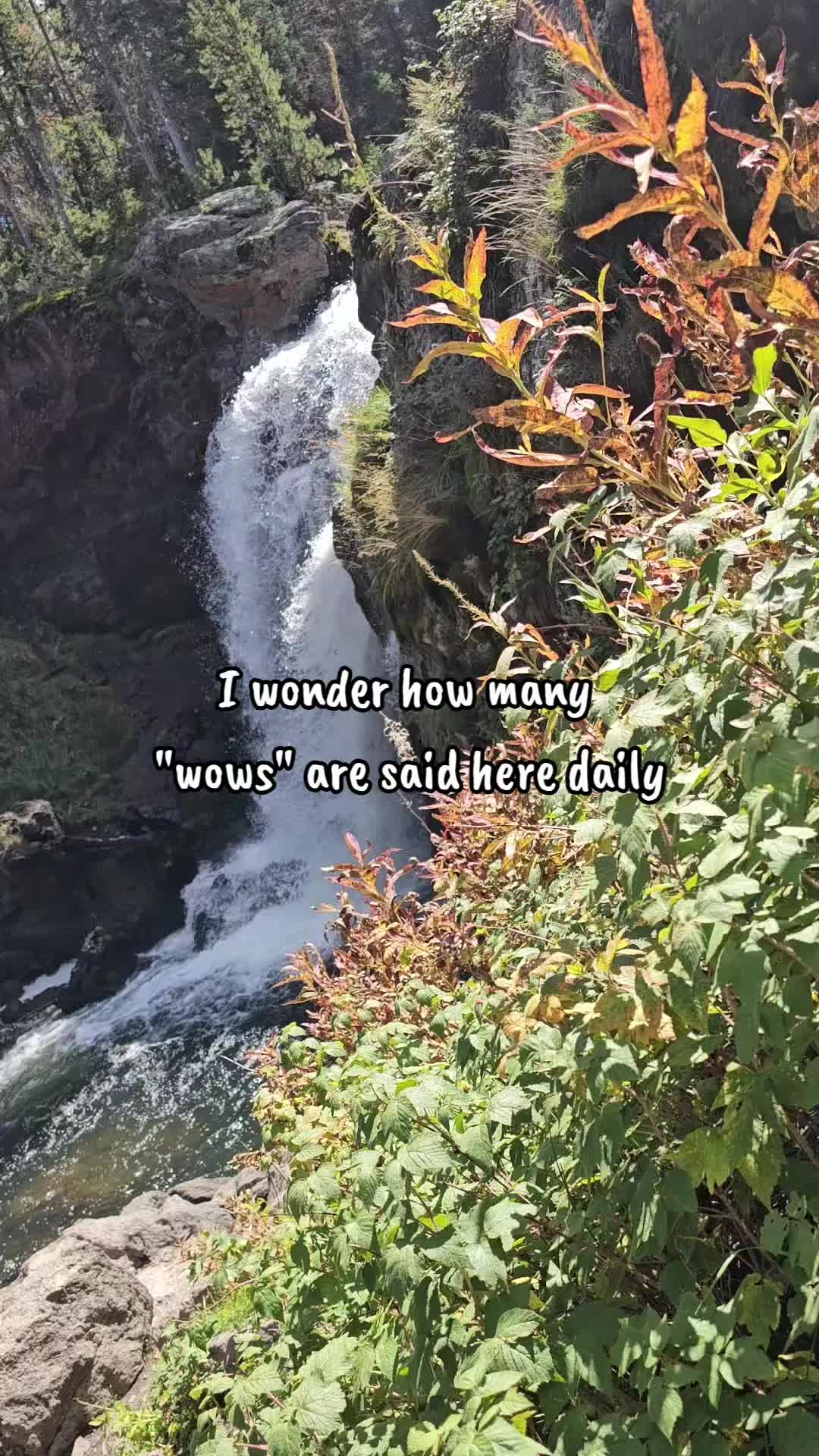 @Crystal Graham