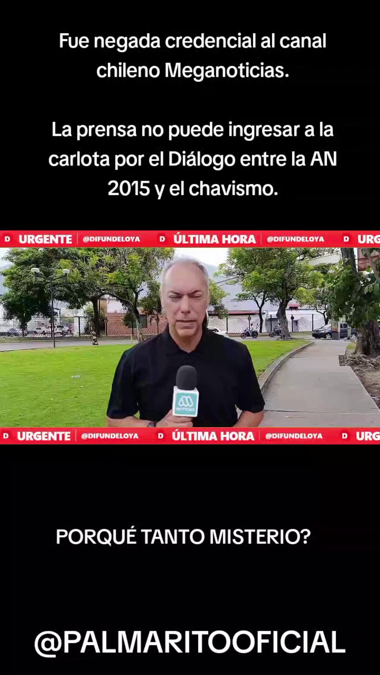 @PALMARITOOFICIAL 🌵