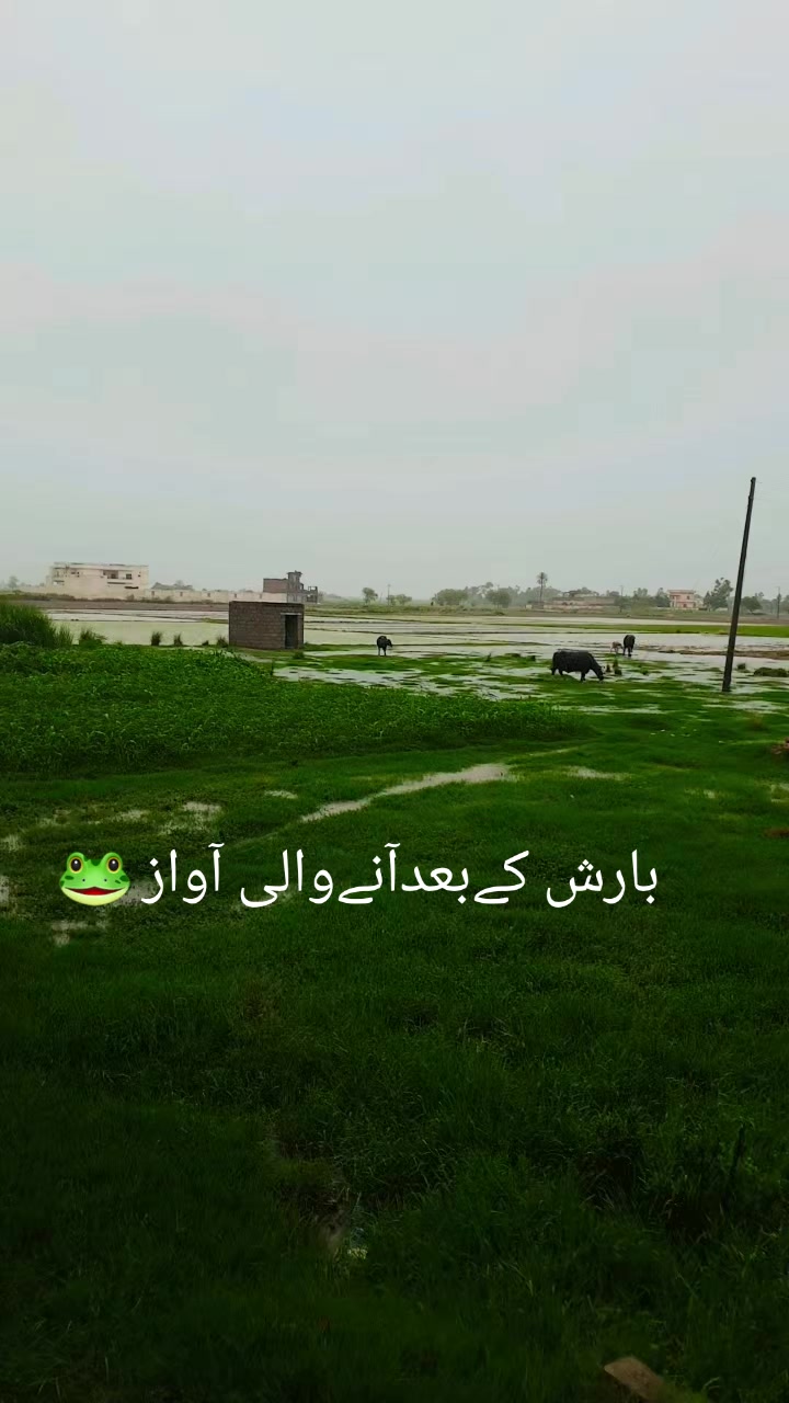 @Khatib Anwar