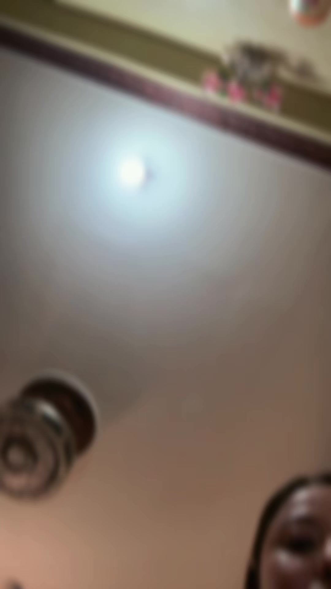 @🕊️