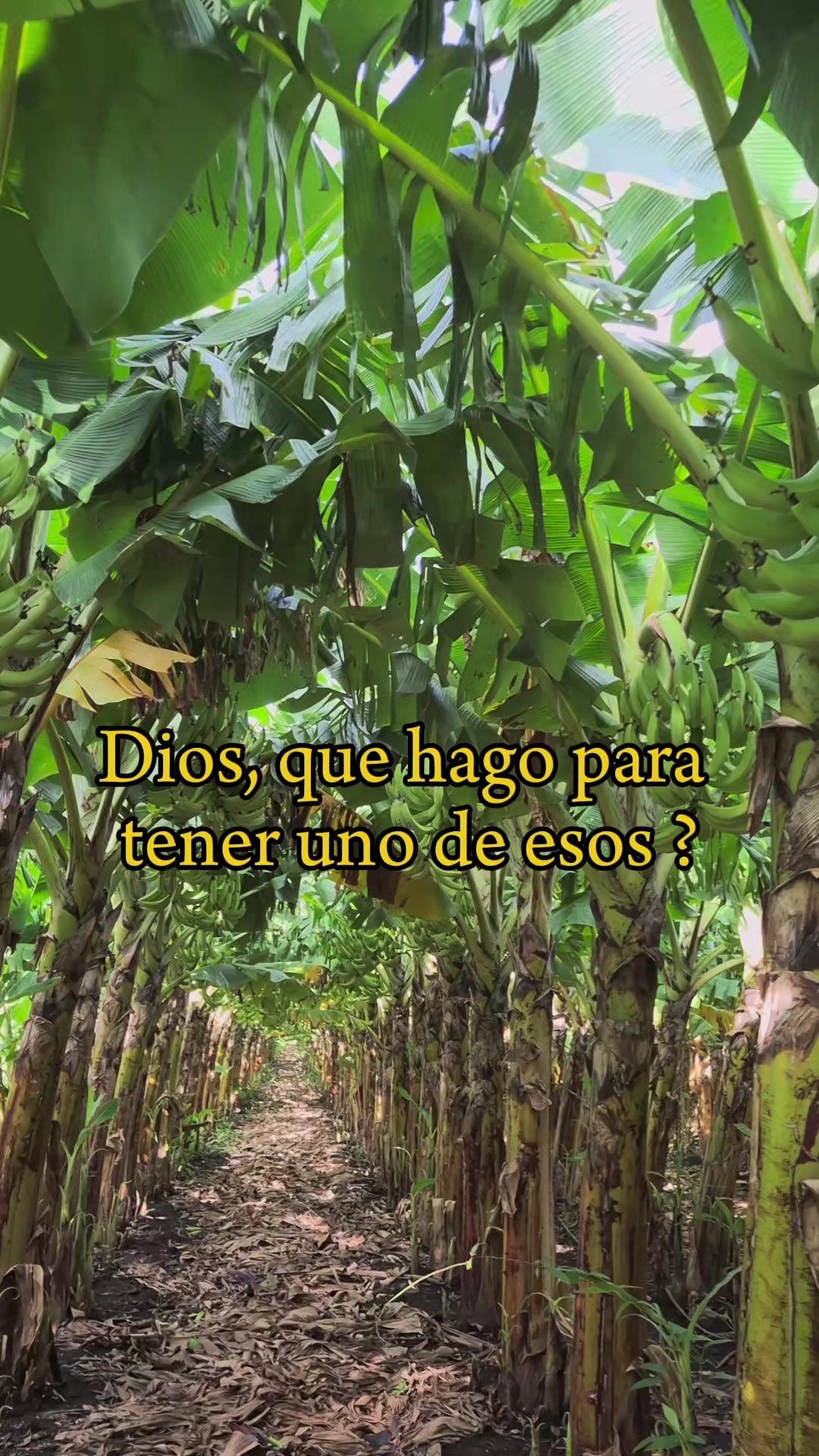 @Edwin Jos&eacute; / reyna vanegas