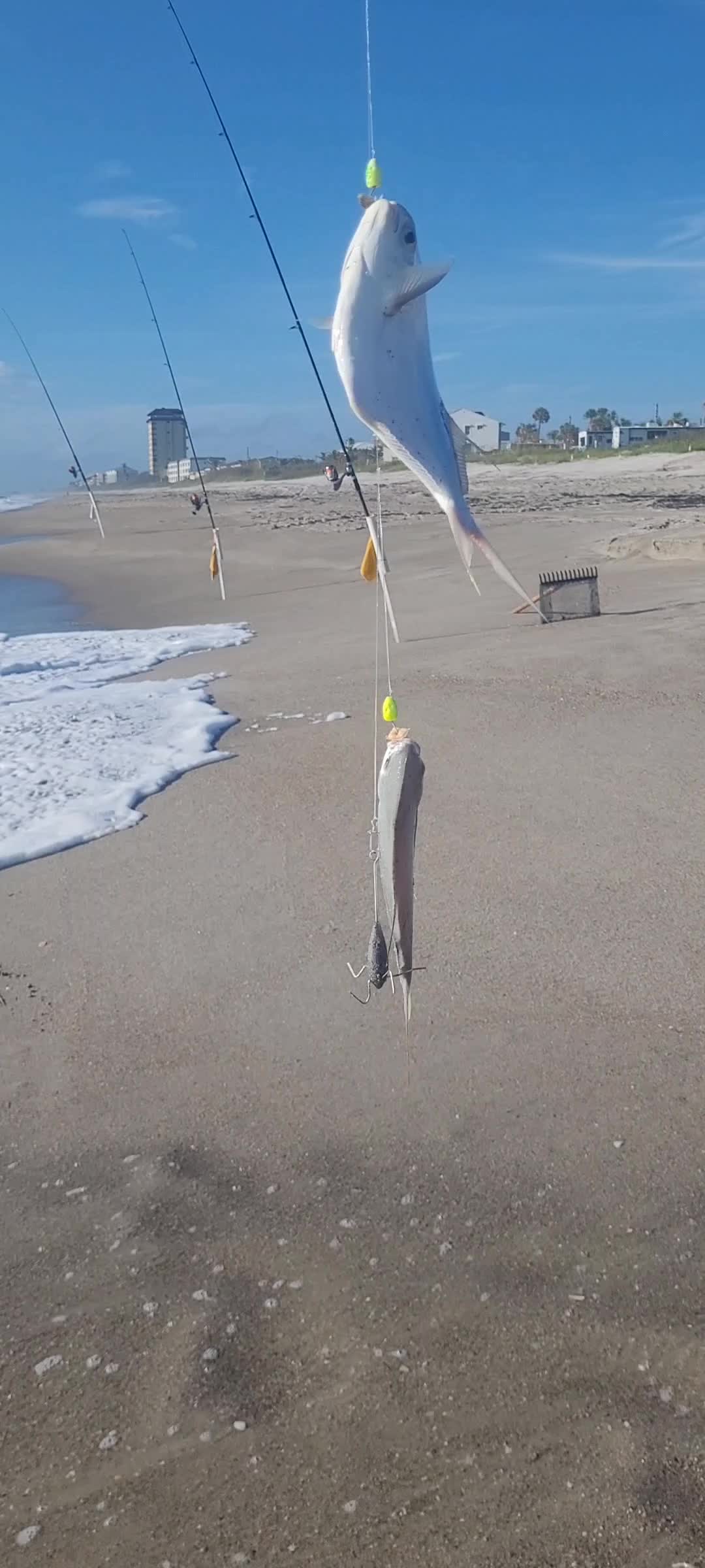 @Ghost of Space Coast Fishing