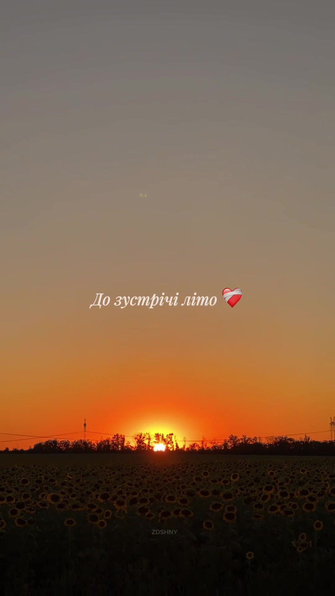 @𝗭𝗗𝗦𝗛𝗡𝗬