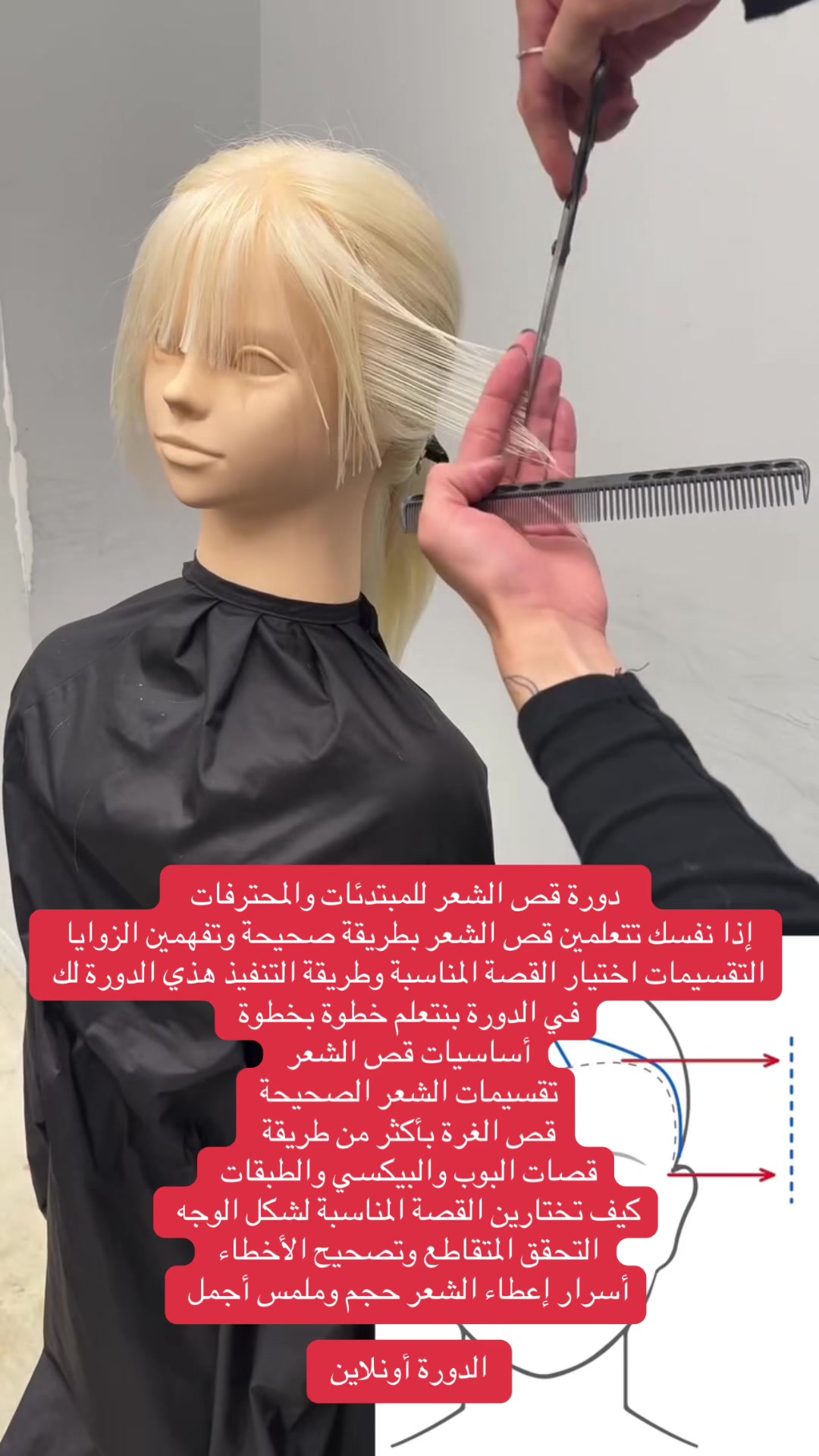 @قصات شعر | صبغات ترند✂️