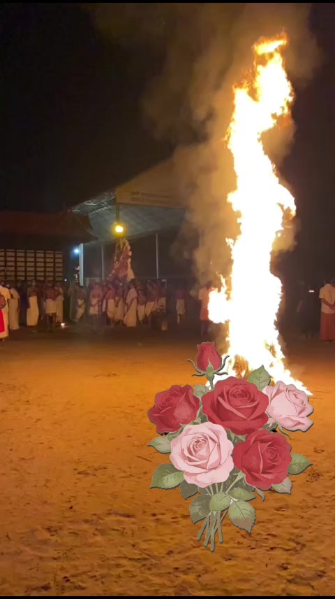 @Anitha Rajan444622