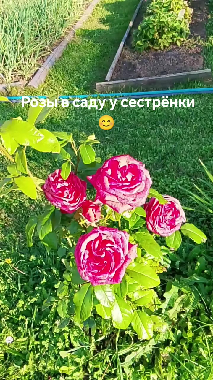 @Алексия
