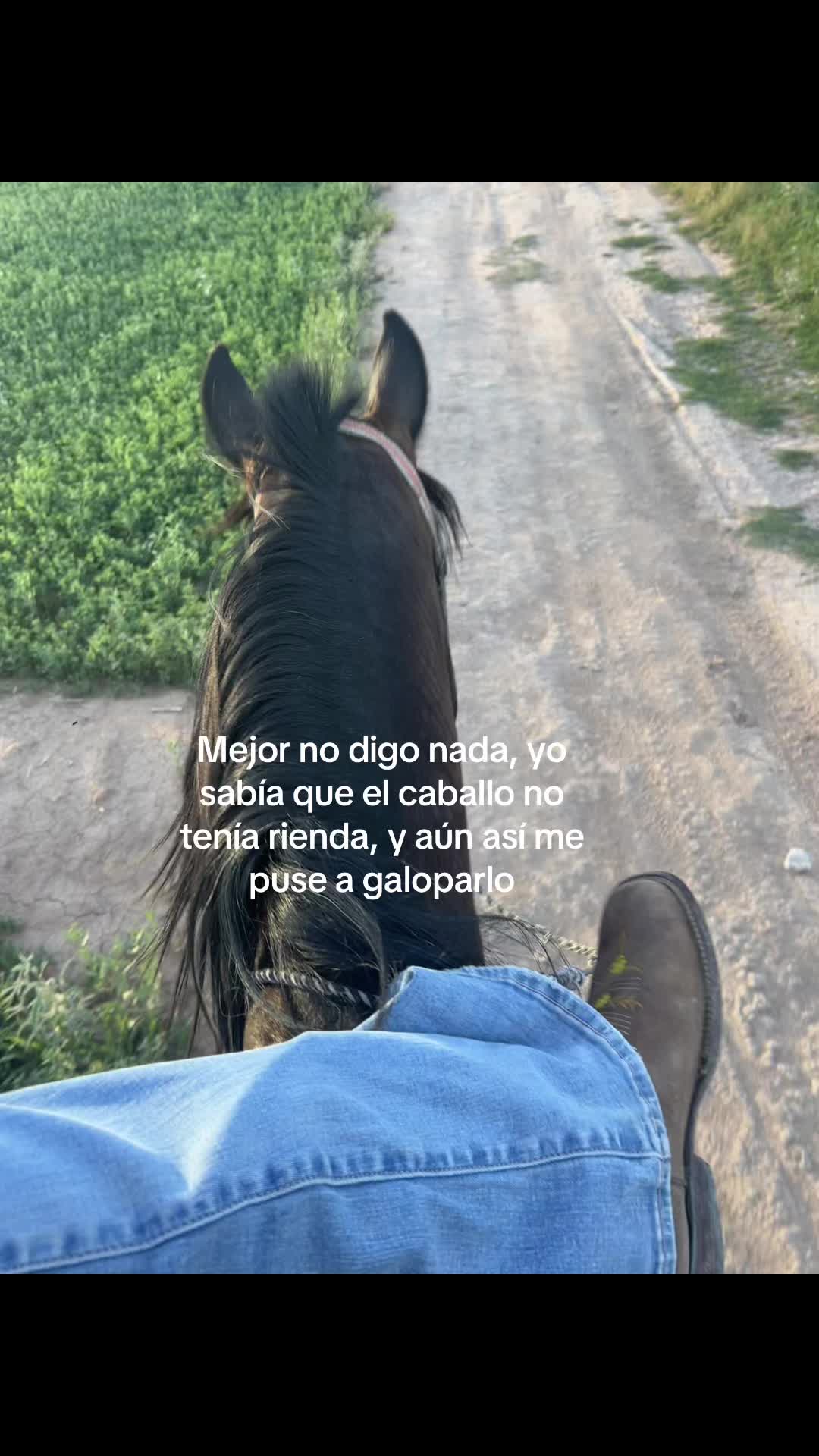@Aracely