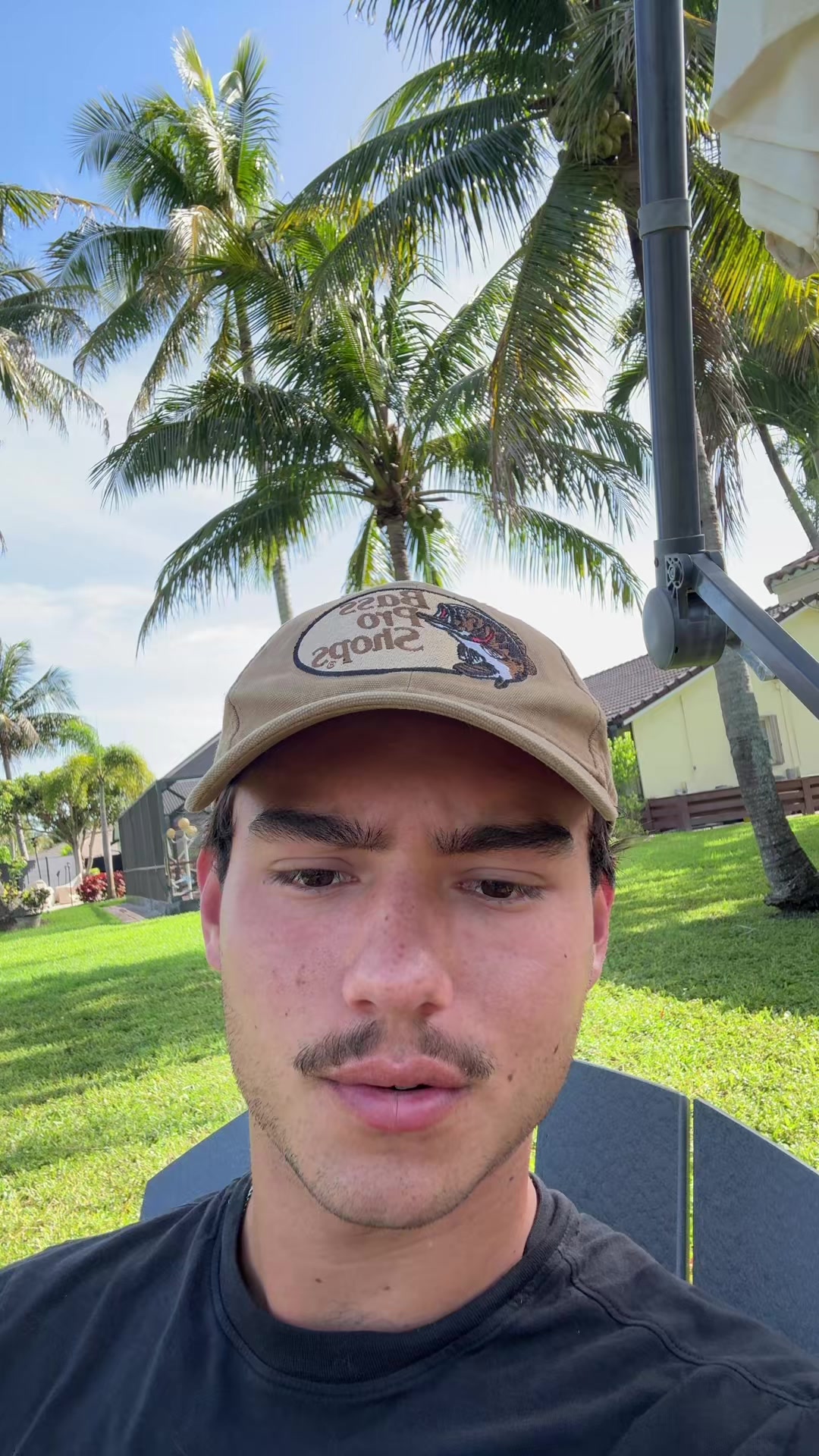 @mendiolaenusa