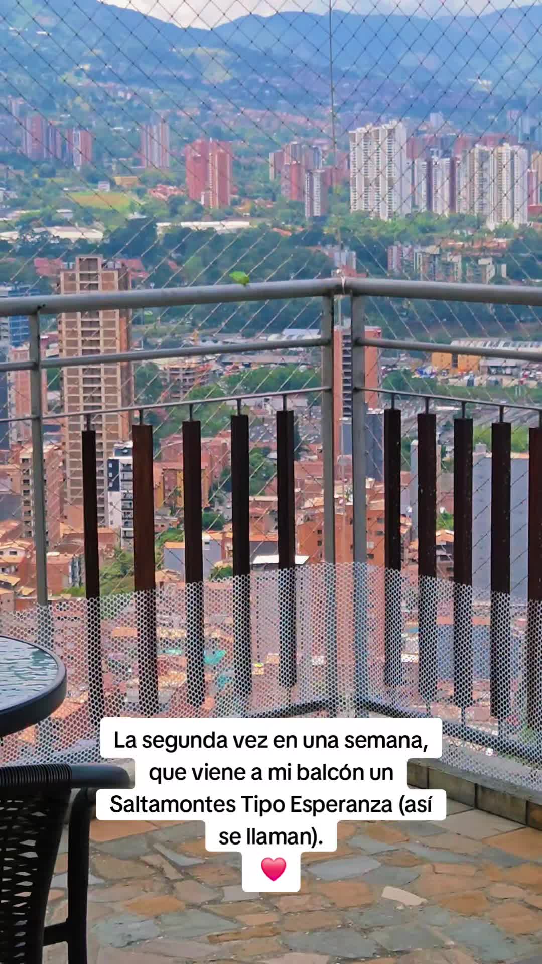 @Luna