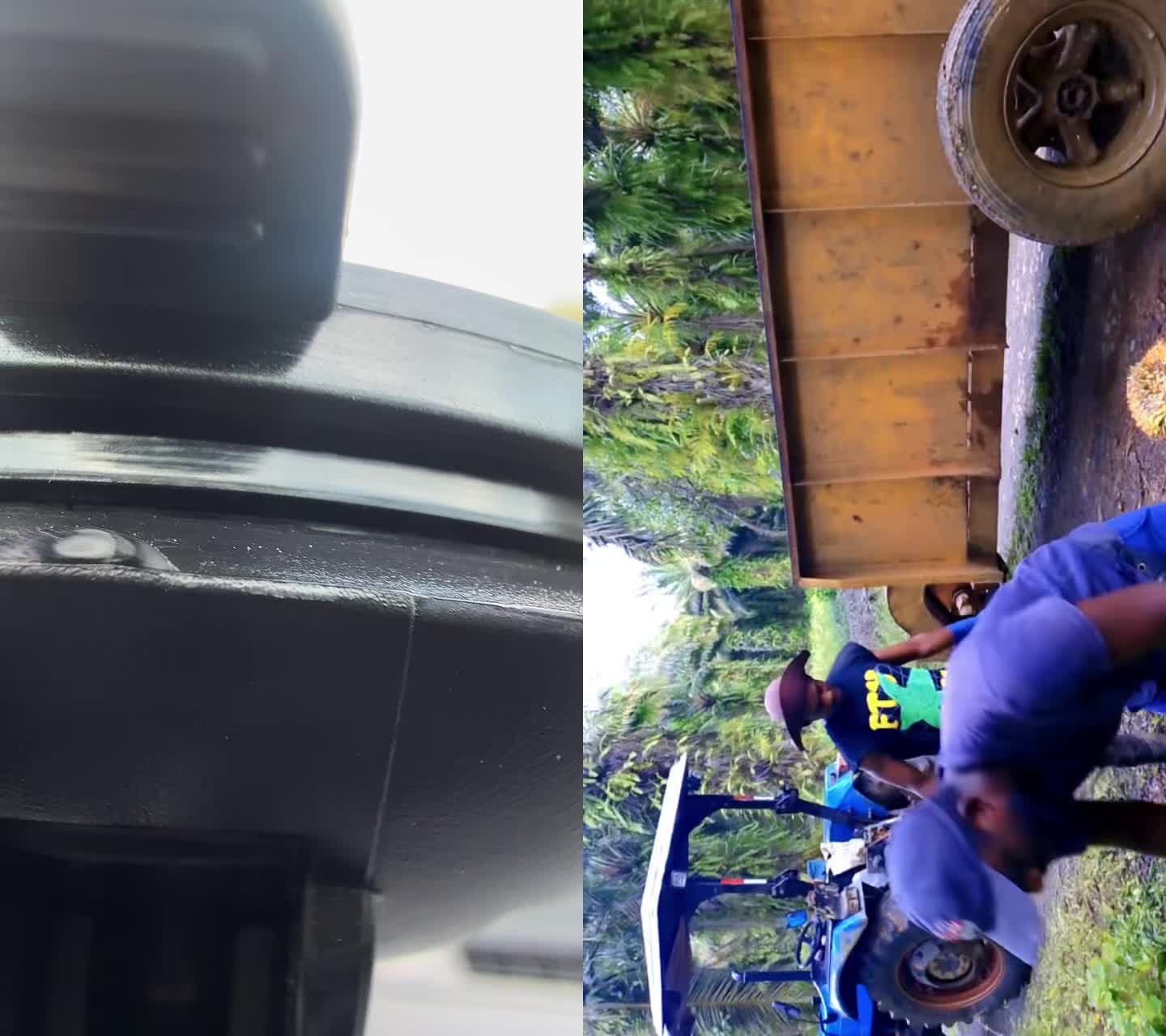 @renoldexantus770renoldexantus