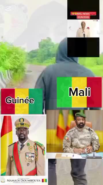@ROI GUÉPARD N°1 223 🇲🇱
