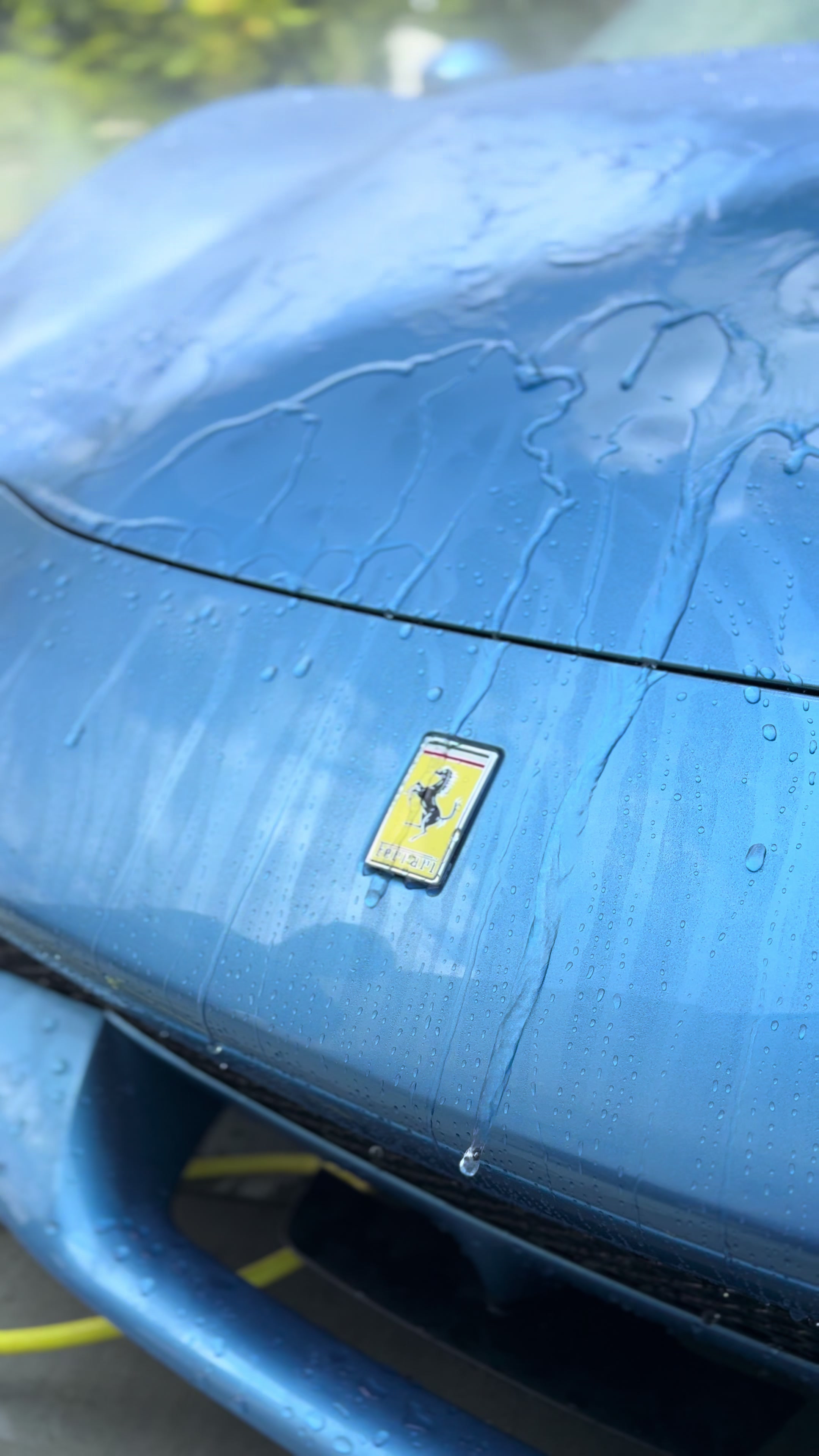 @True Colors Detailing