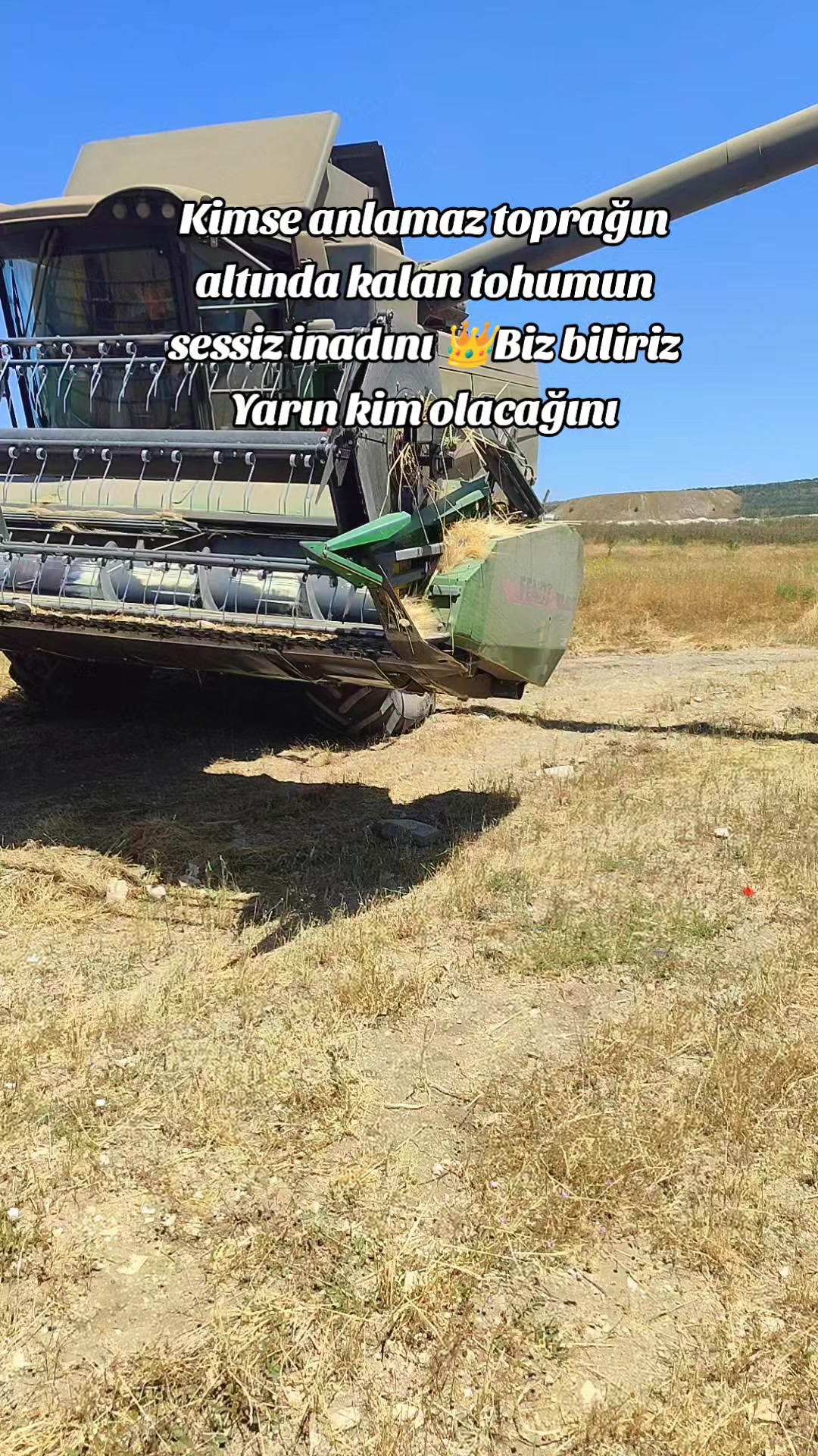 @Muzaffer Erden43