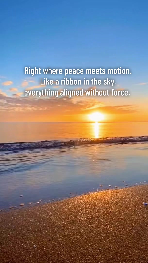 @Shaunny💕