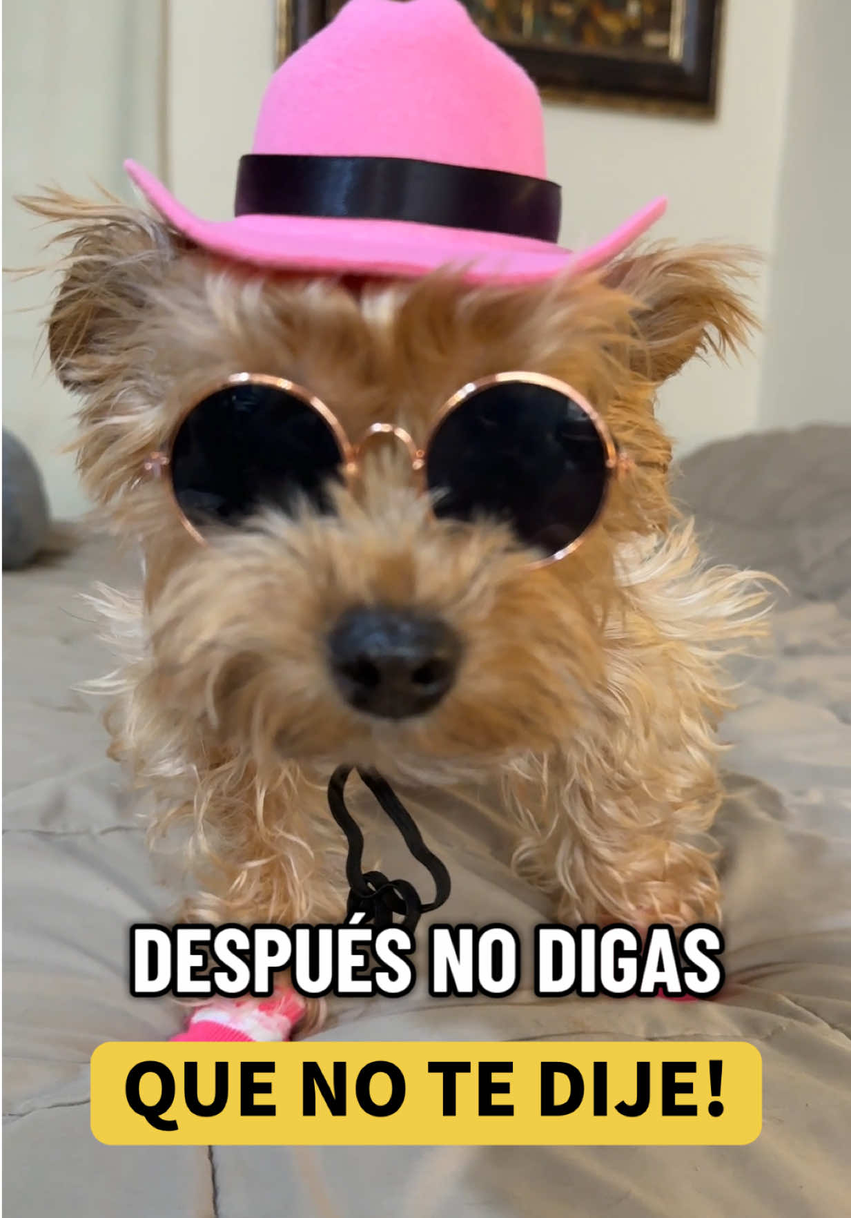 @mili_la_yorki