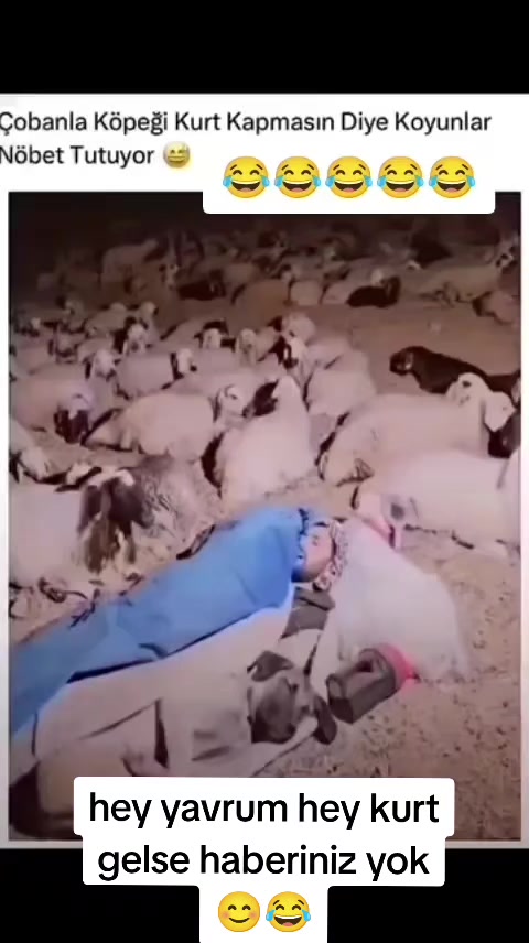 @yılmaz Çetinkaya