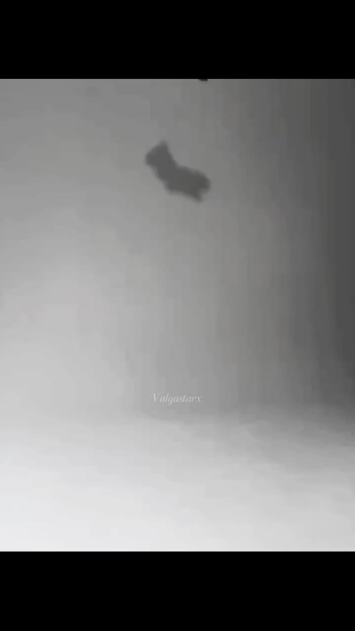 @𝑉𝑎𝑙𝑦𝑎𝑠𝑡𝑎𝑟𝑥✨🪽