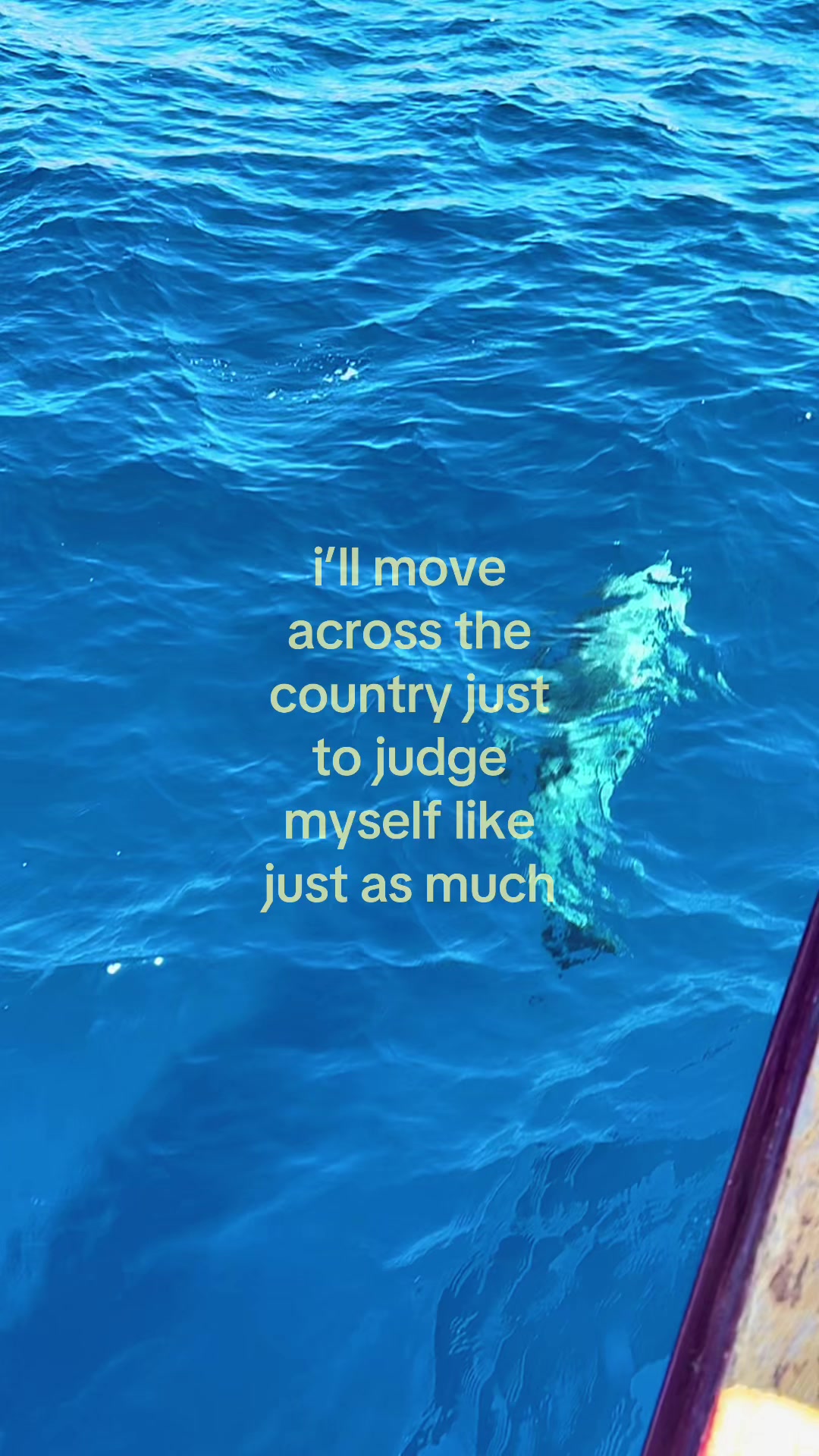 @nicole⸆⸉౨ৎ