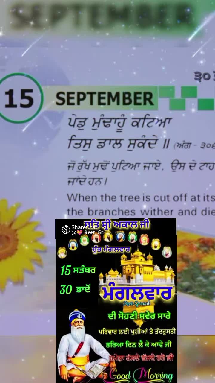 @Nagra PB 06