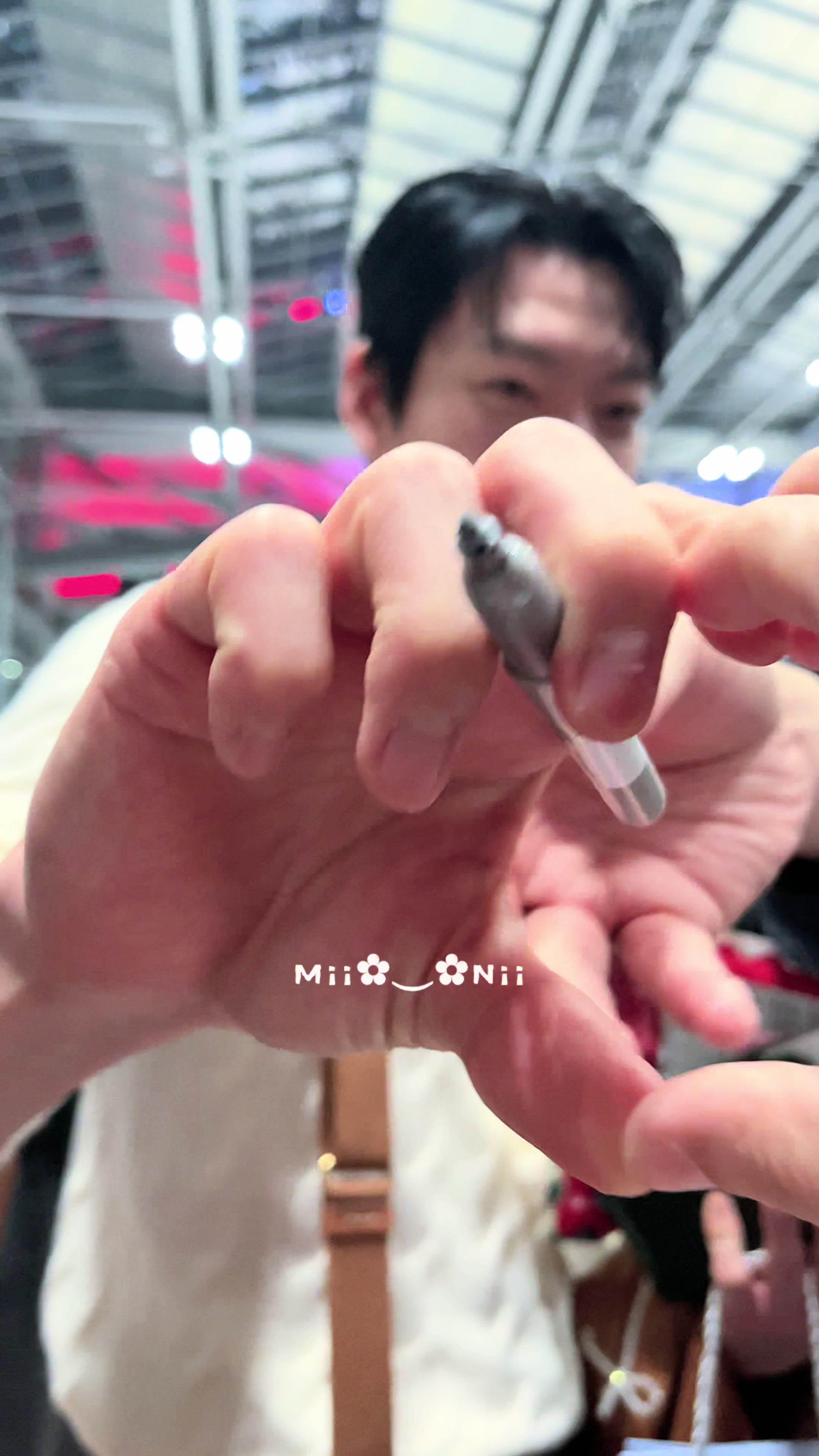 @mnimiinii
