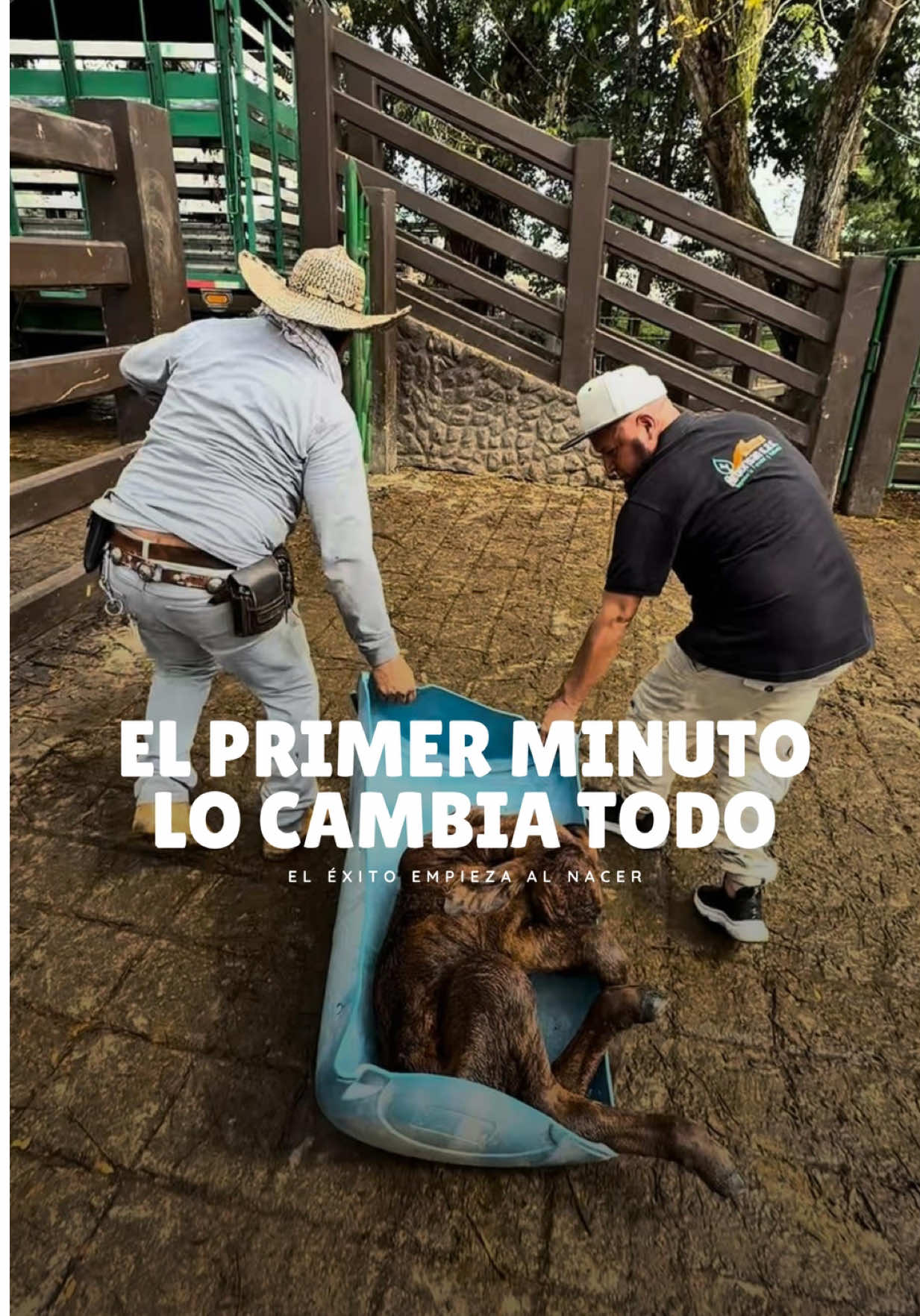 @Rehagronegocios