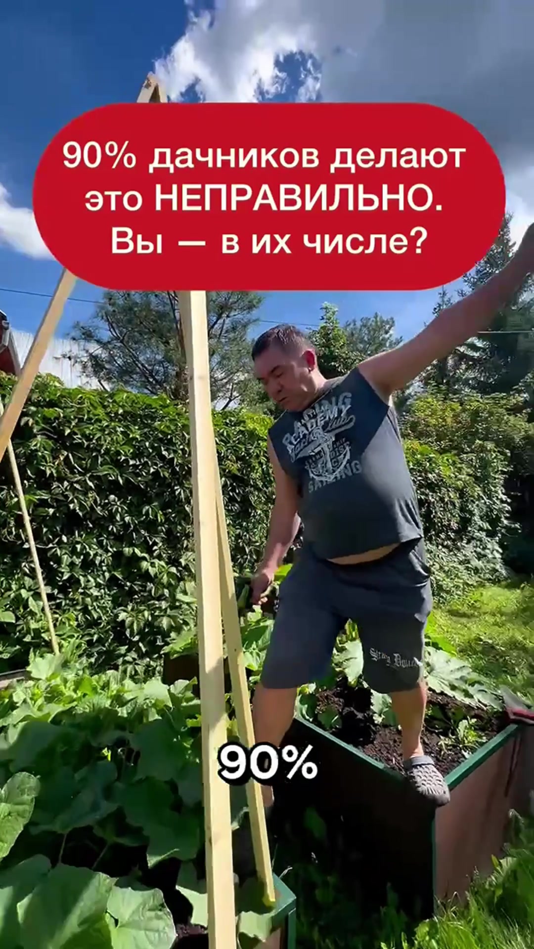 @dom_rustaevy