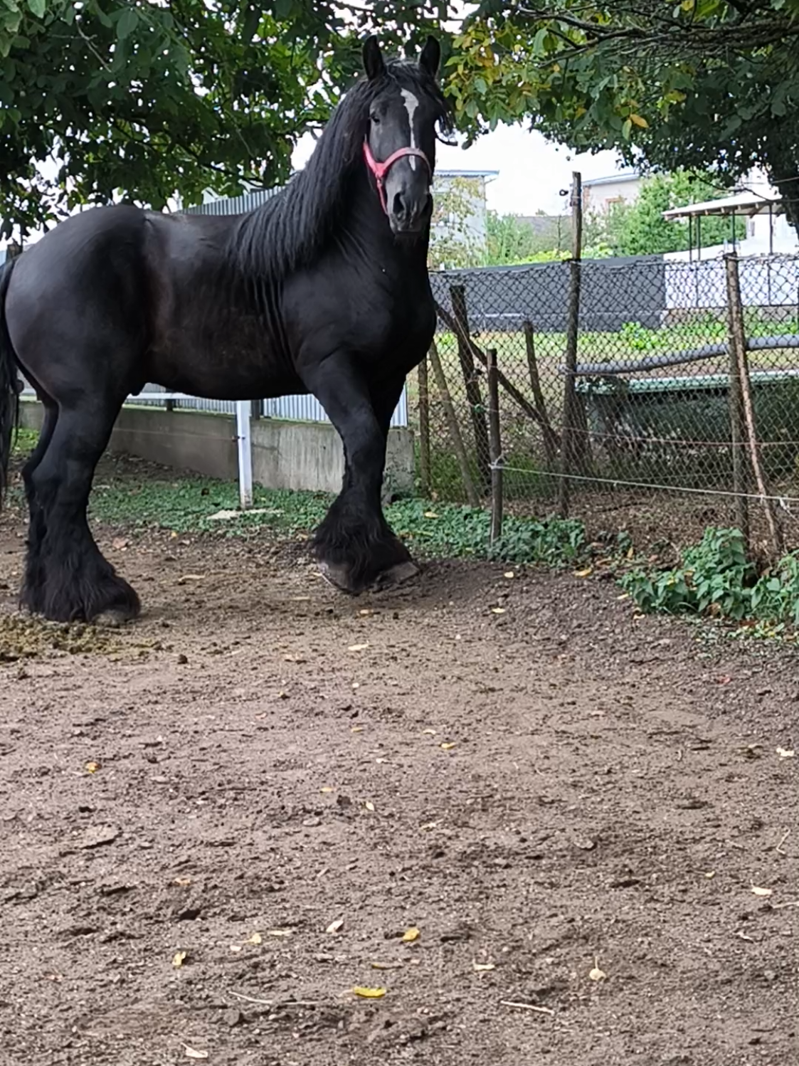 @ВАСЯ БОЙЧУК 🐎