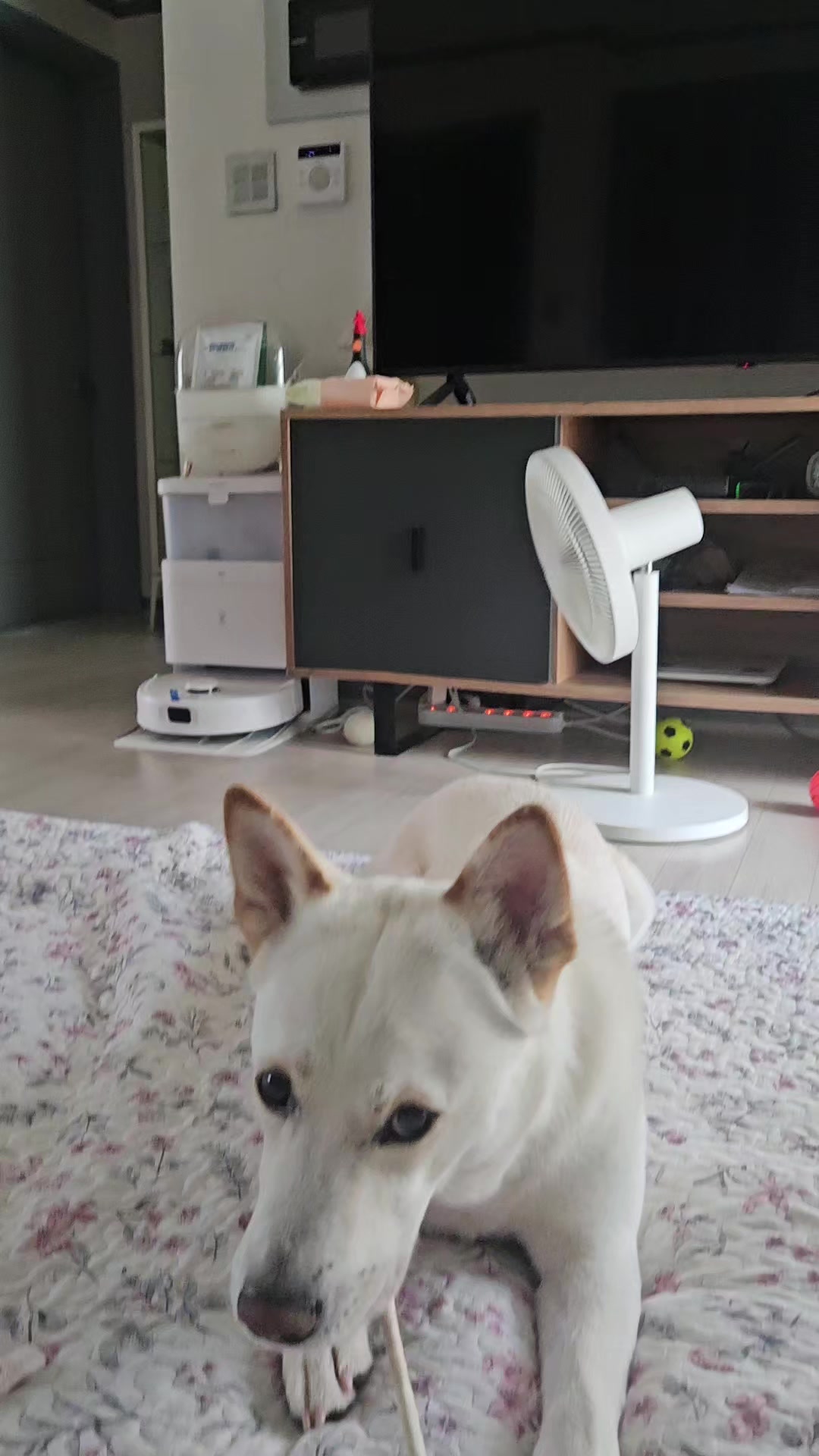 @상큼선이