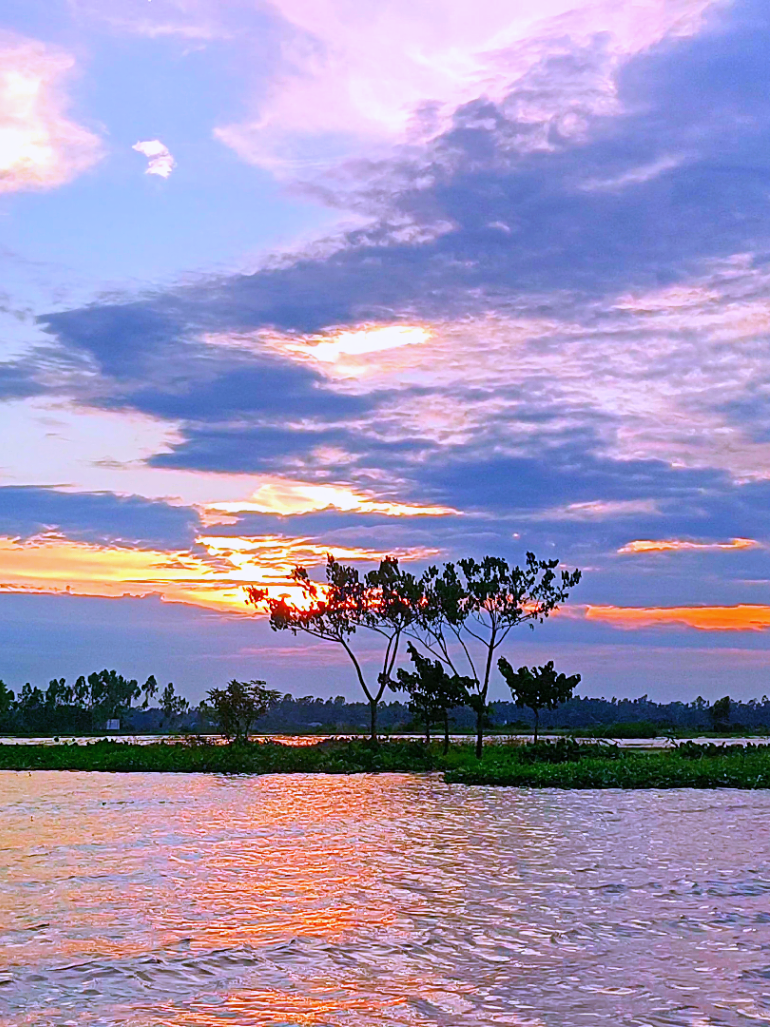 @🪺🦋বাংলার প্রকৃতি 🌾🌹