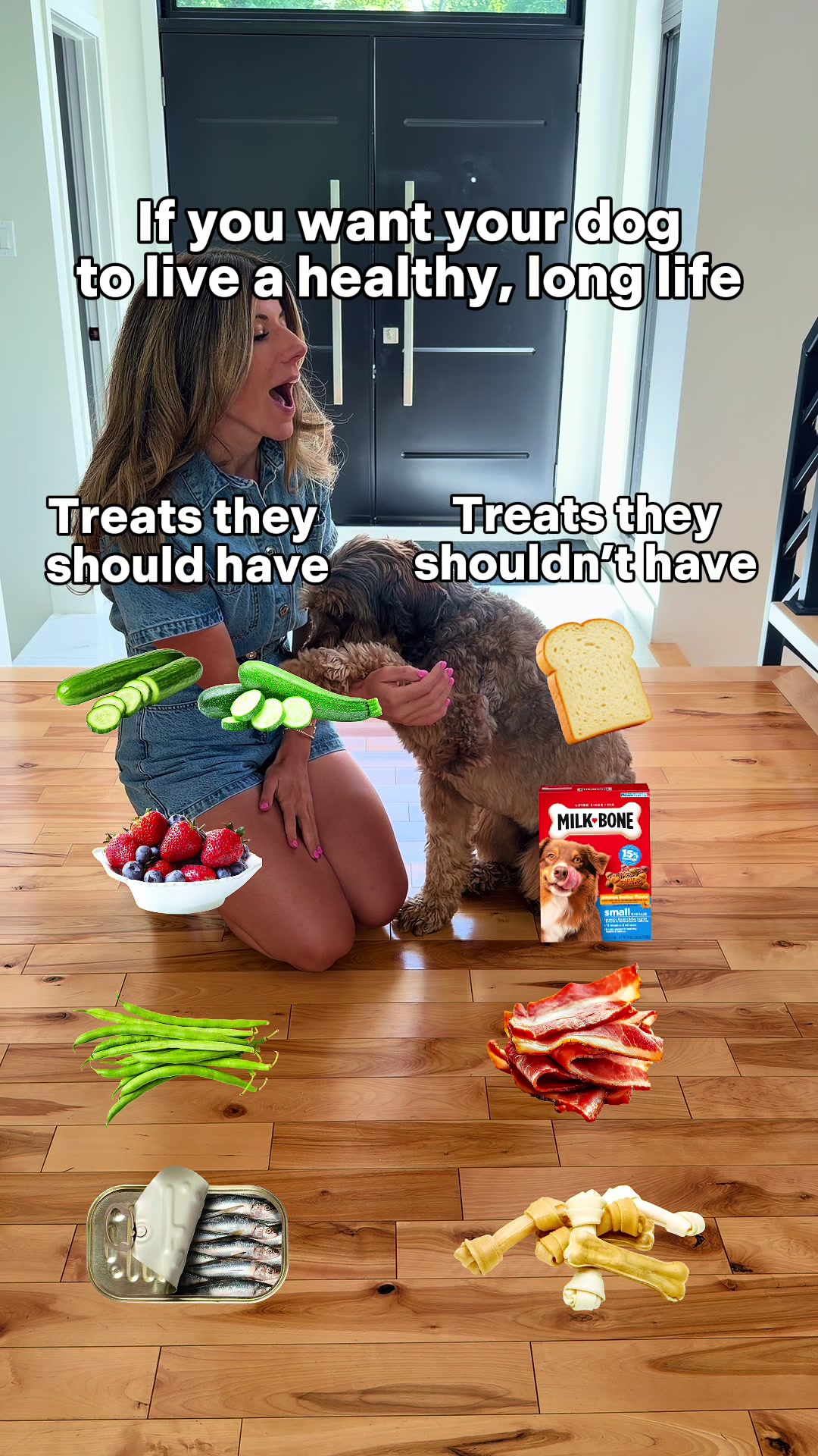 @Dogs Made Simple