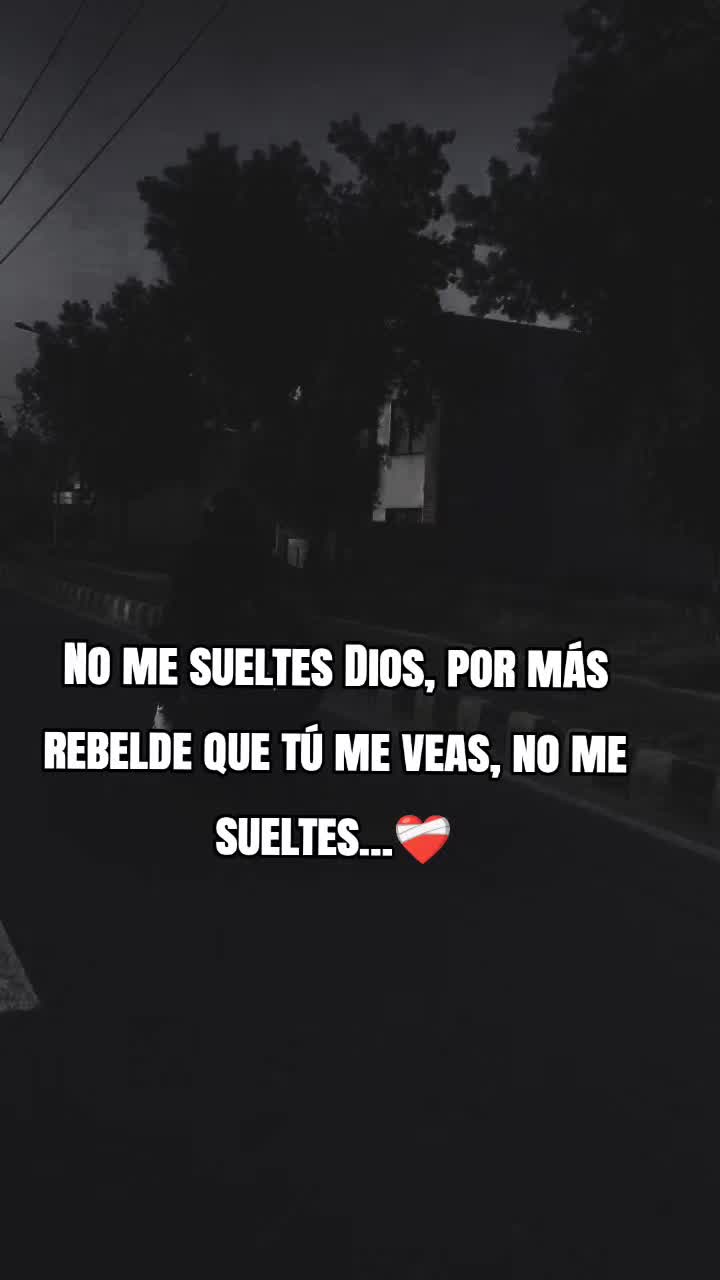 @biker24/7 oficial