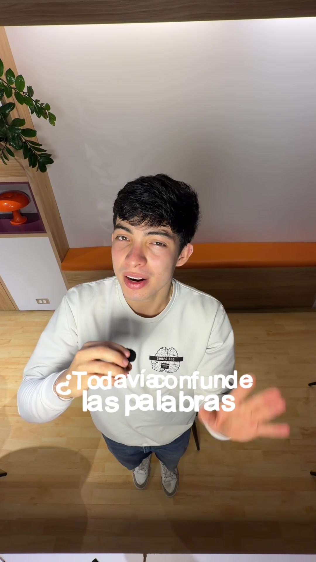 @PreICFES Grupo 500