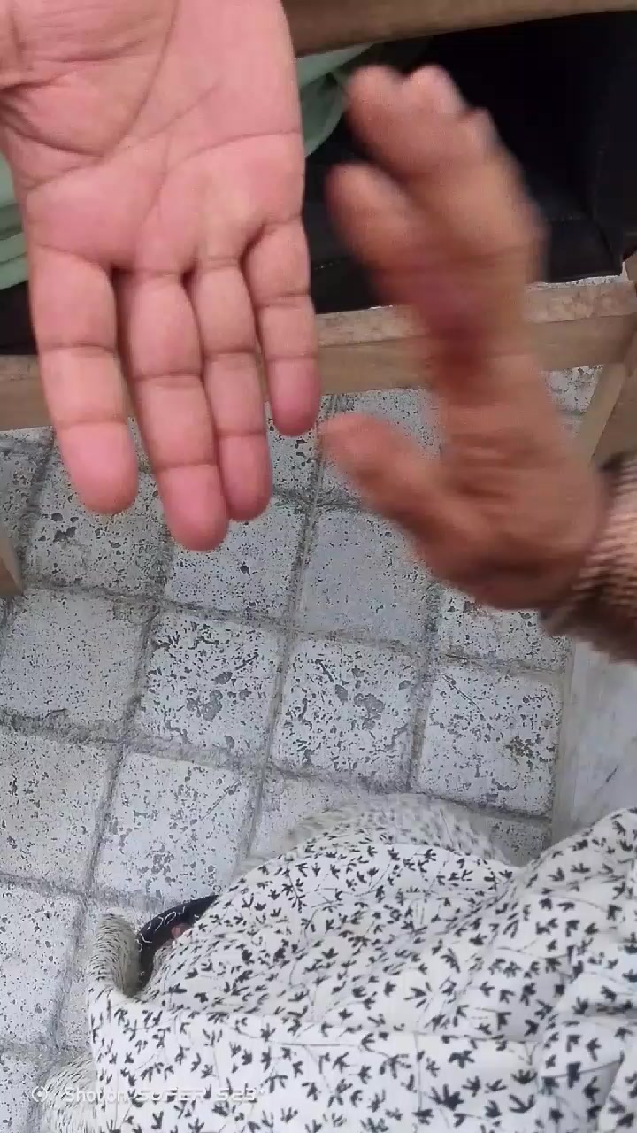 @Sakina Shaikh