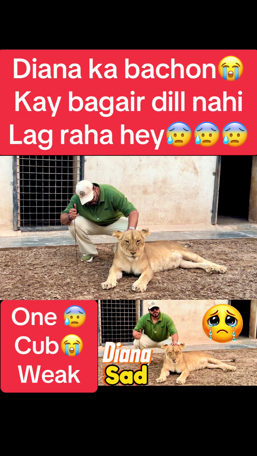 @Mian saqib