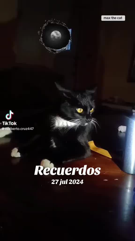 @Norberto Norberto Henríquez