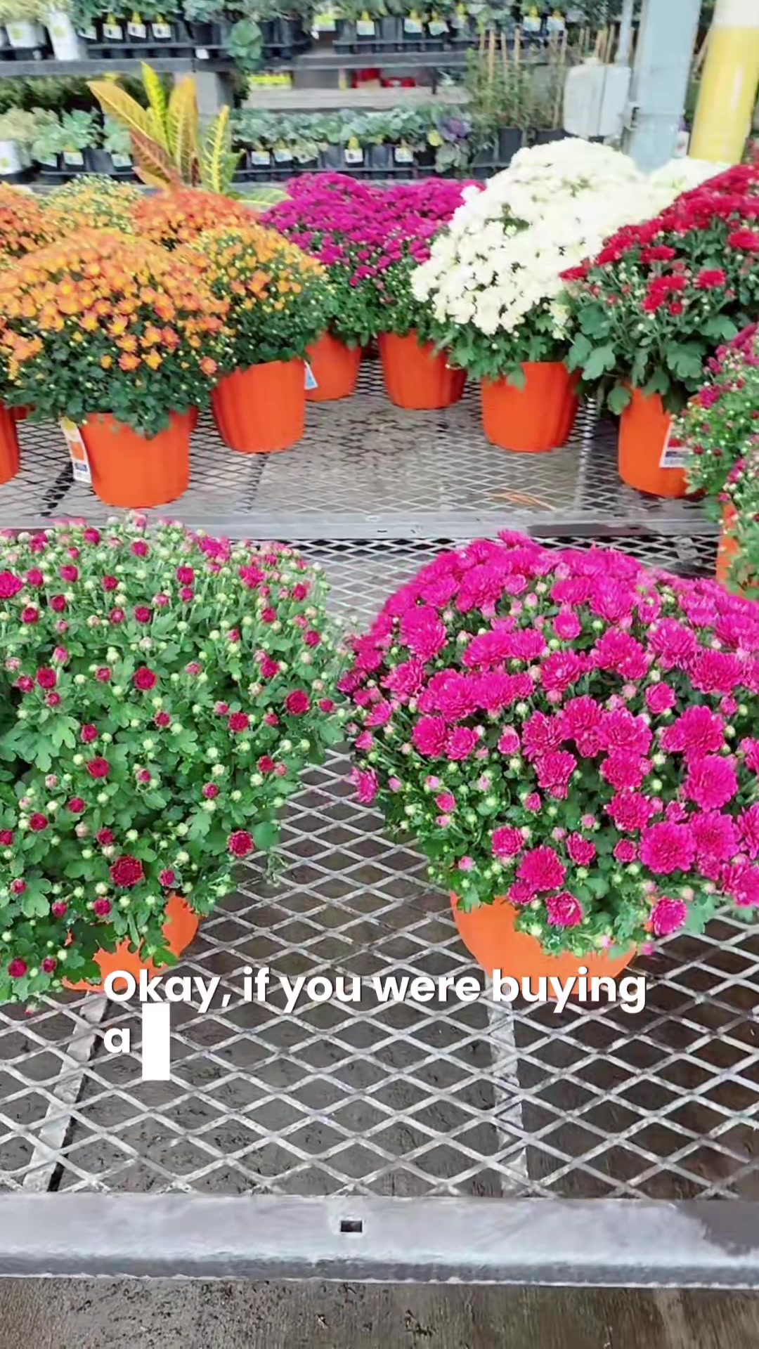 @Liv Floral
