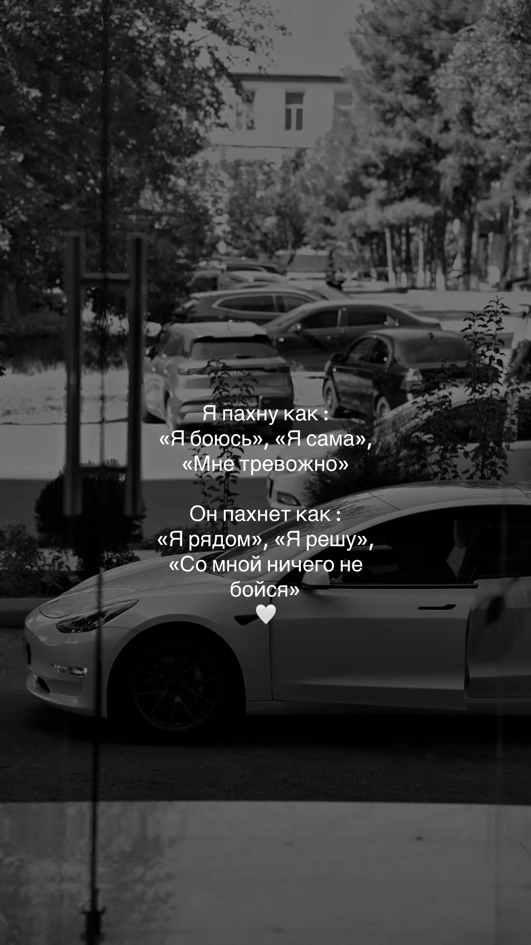 @___Avrora___