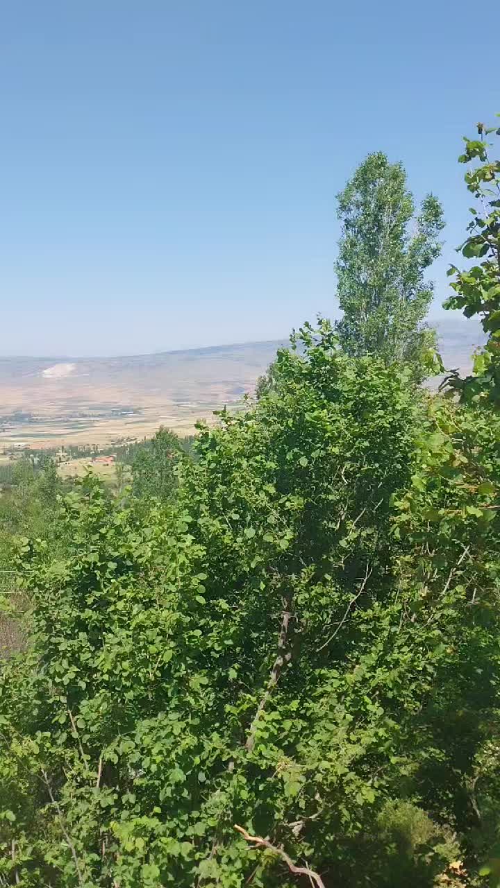 @GÜN🌝 'IşıGı